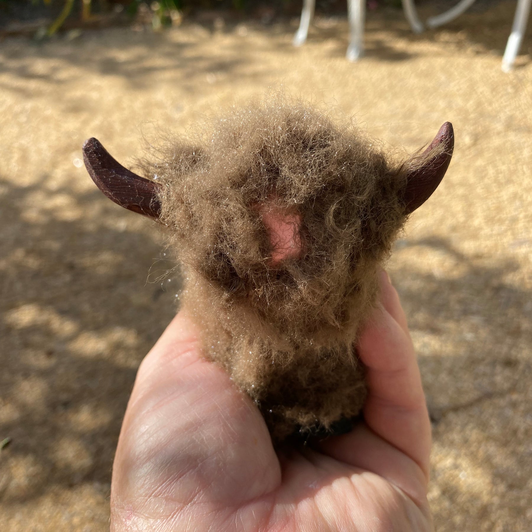 Wooly Brown Cow