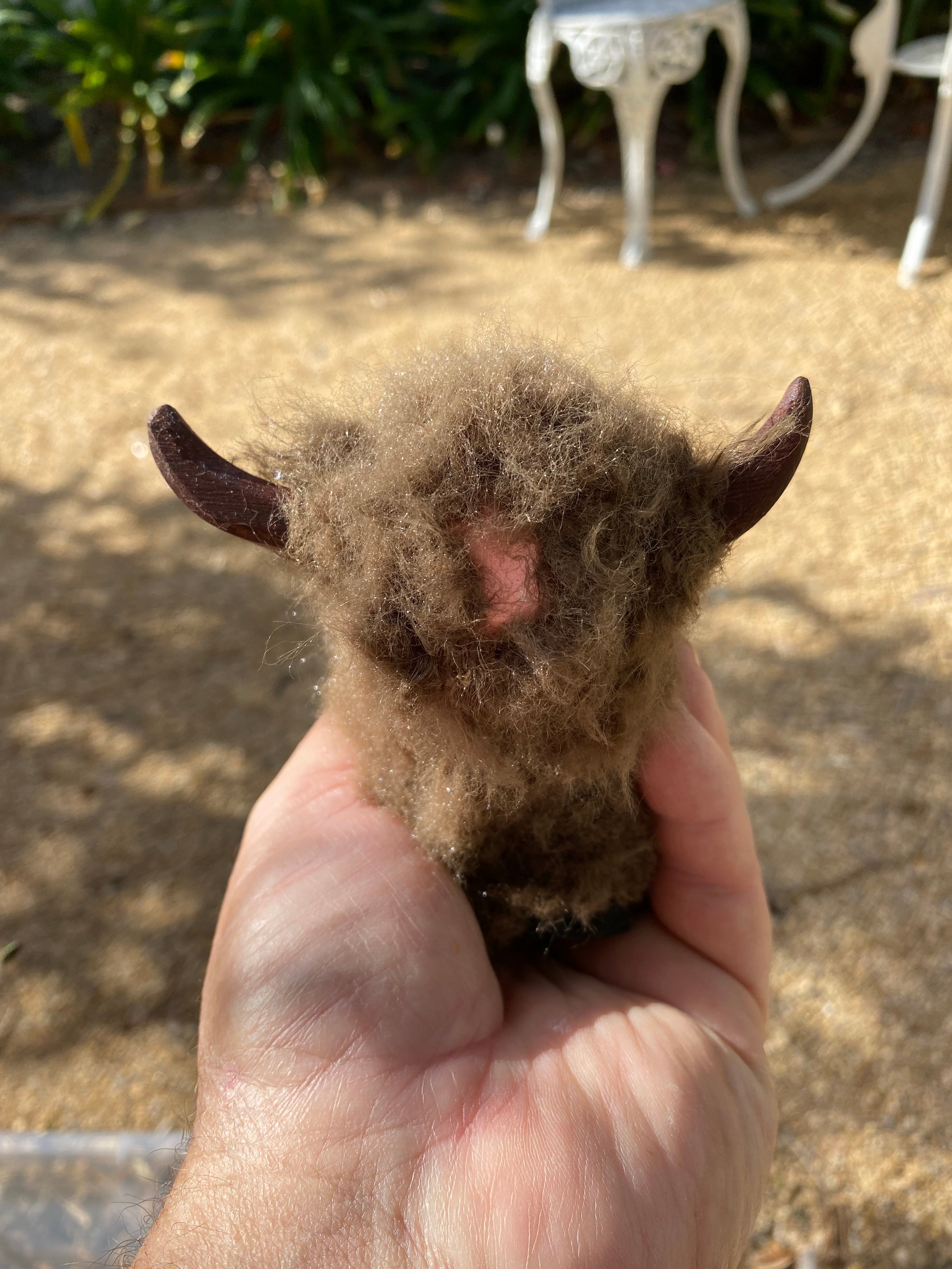 Wooly Brown Cow
