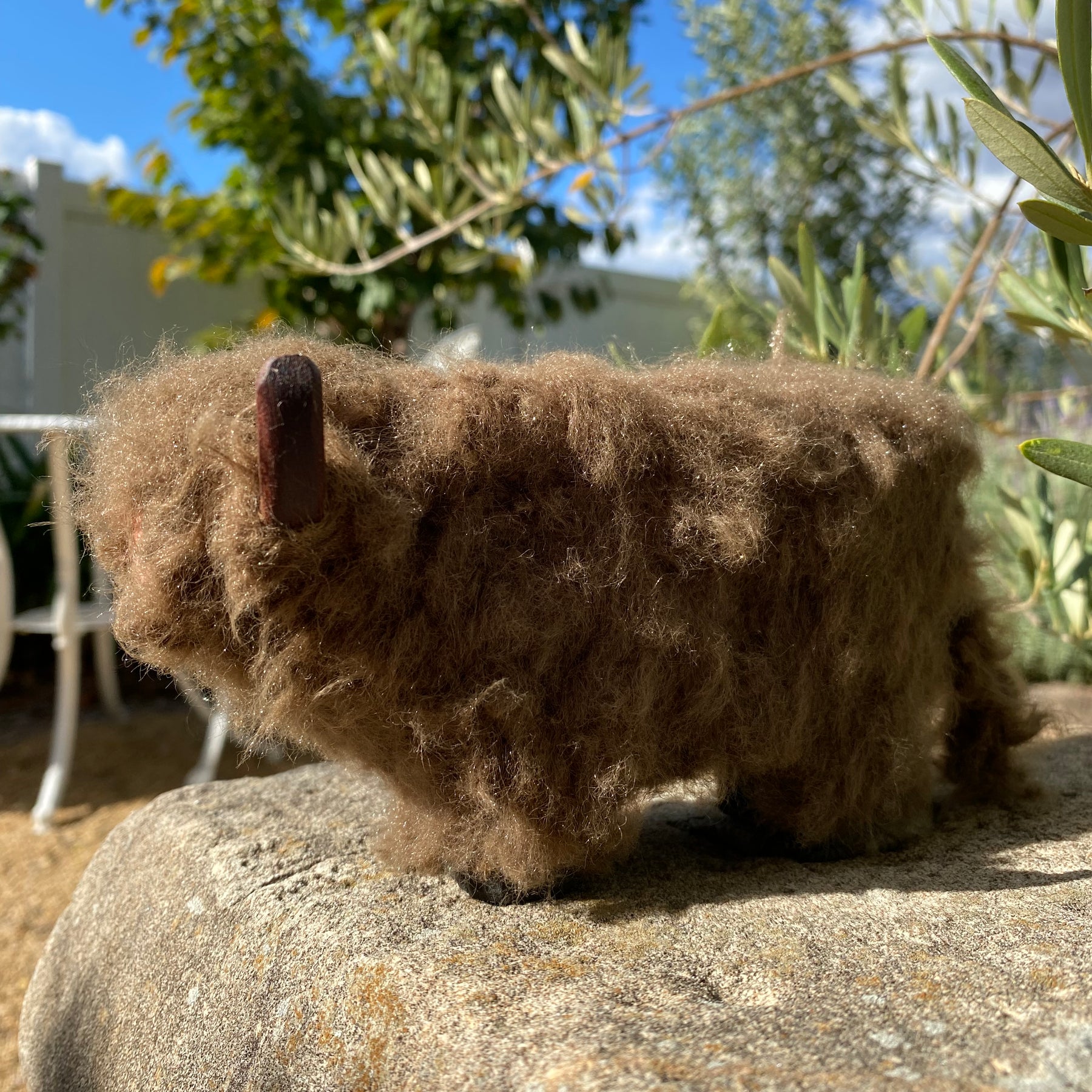 Wooly Brown Cow