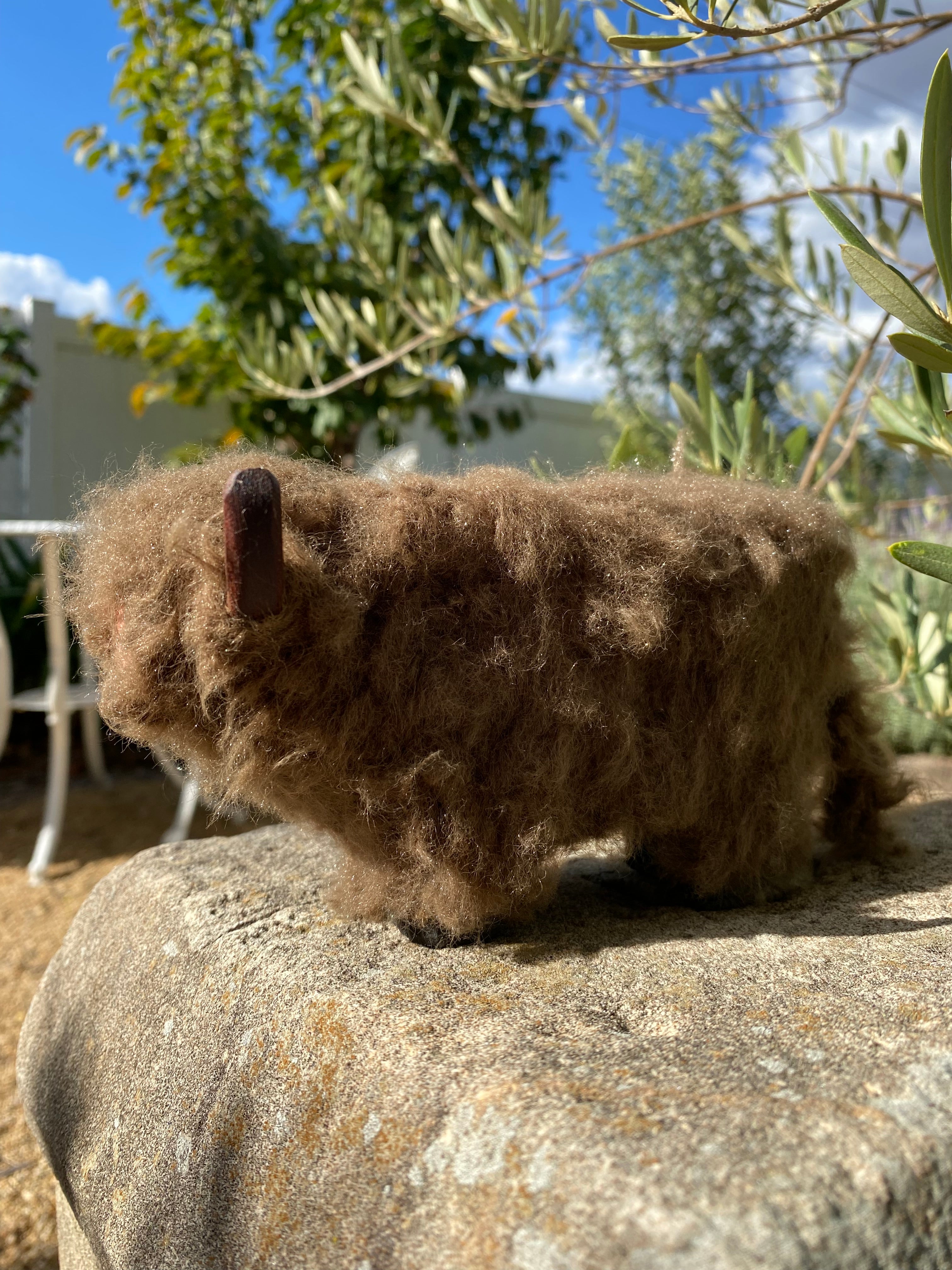 Wooly Brown Cow
