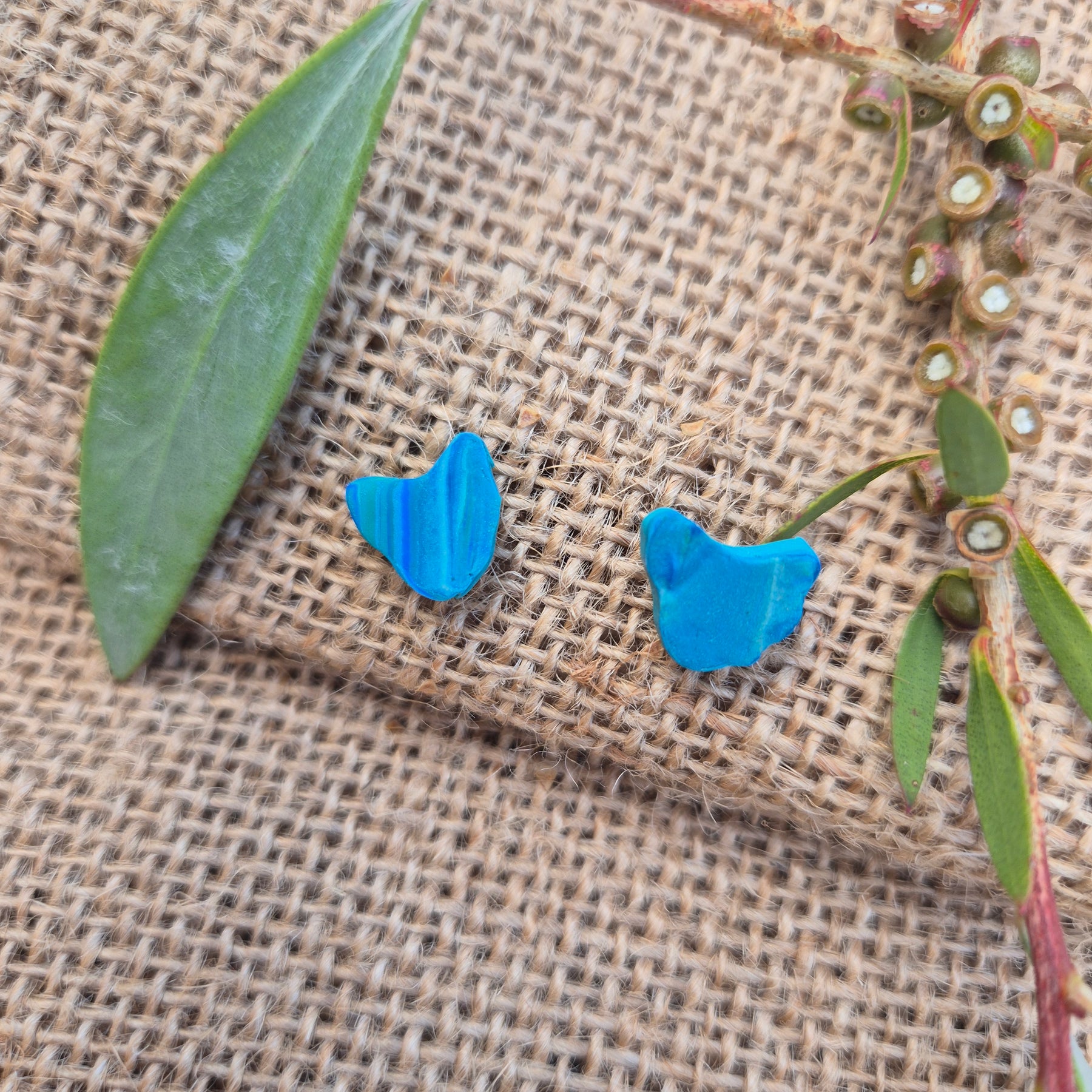 Map of Tasmania Earring Studs