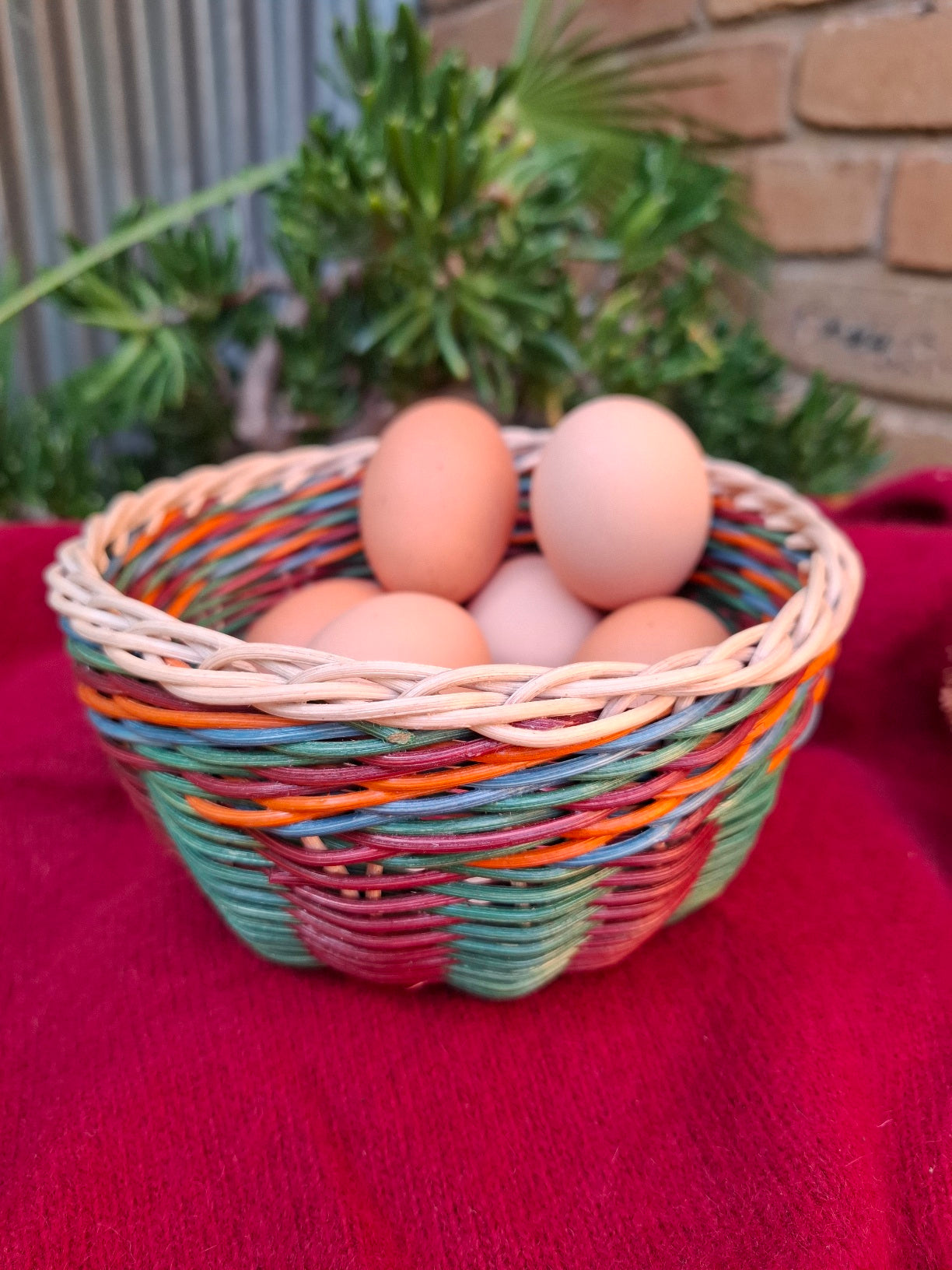 Bowl green brown orange
