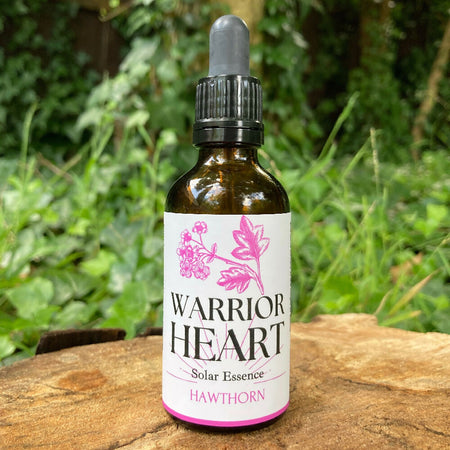 Warrior Heart - HAWTHORN Solar Flower Essence 50ml