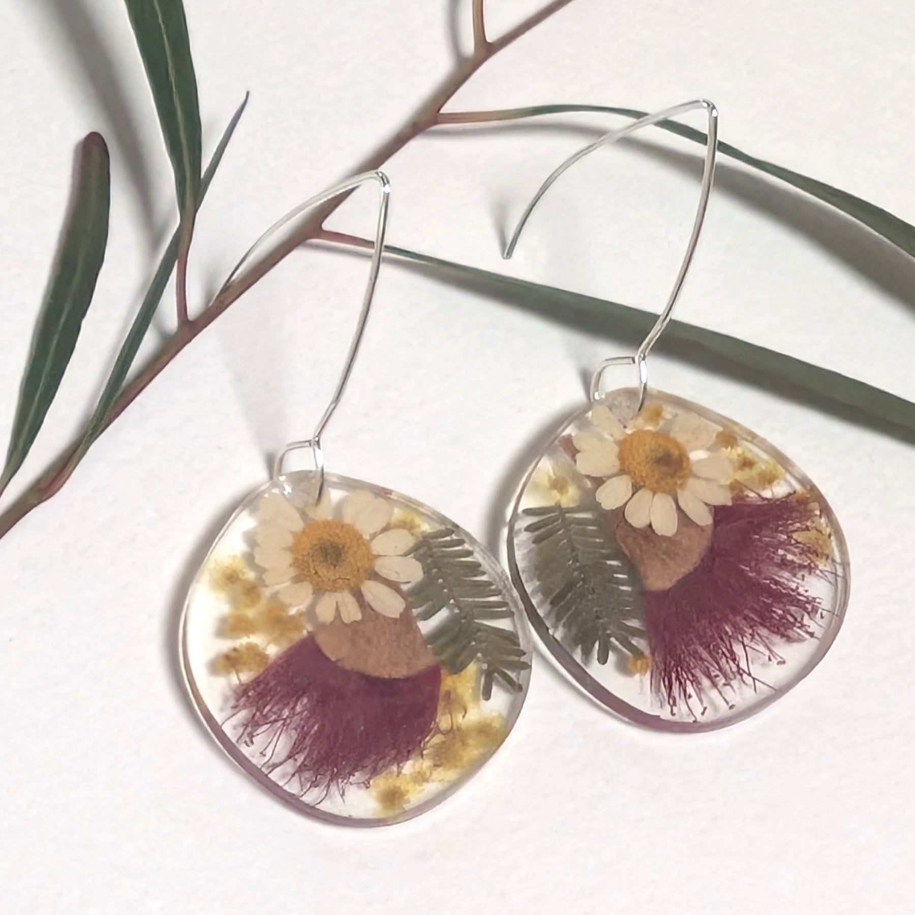 Australian native flowers, long silver hook