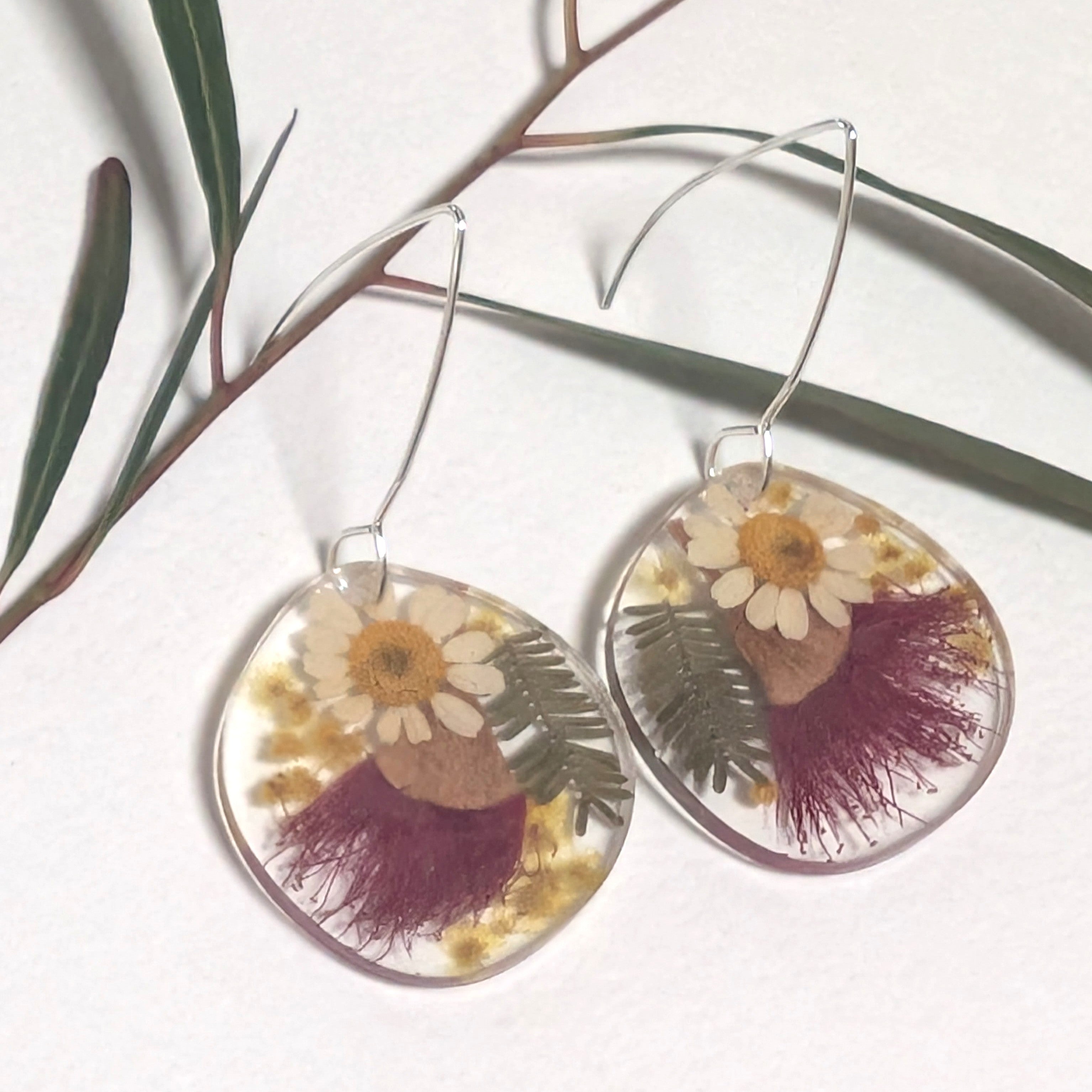 Australian native flowers, long silver hook