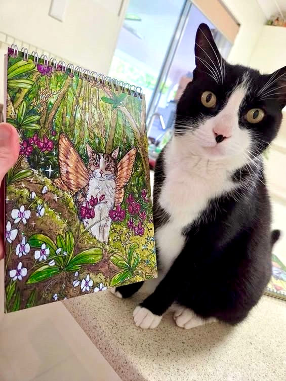 Fairy Cat Sparkly Notebooks with Rainbow Pages