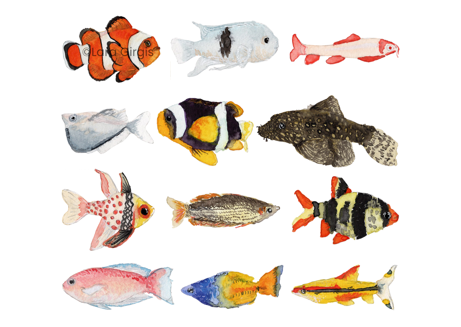 Aquarium Fish - art print