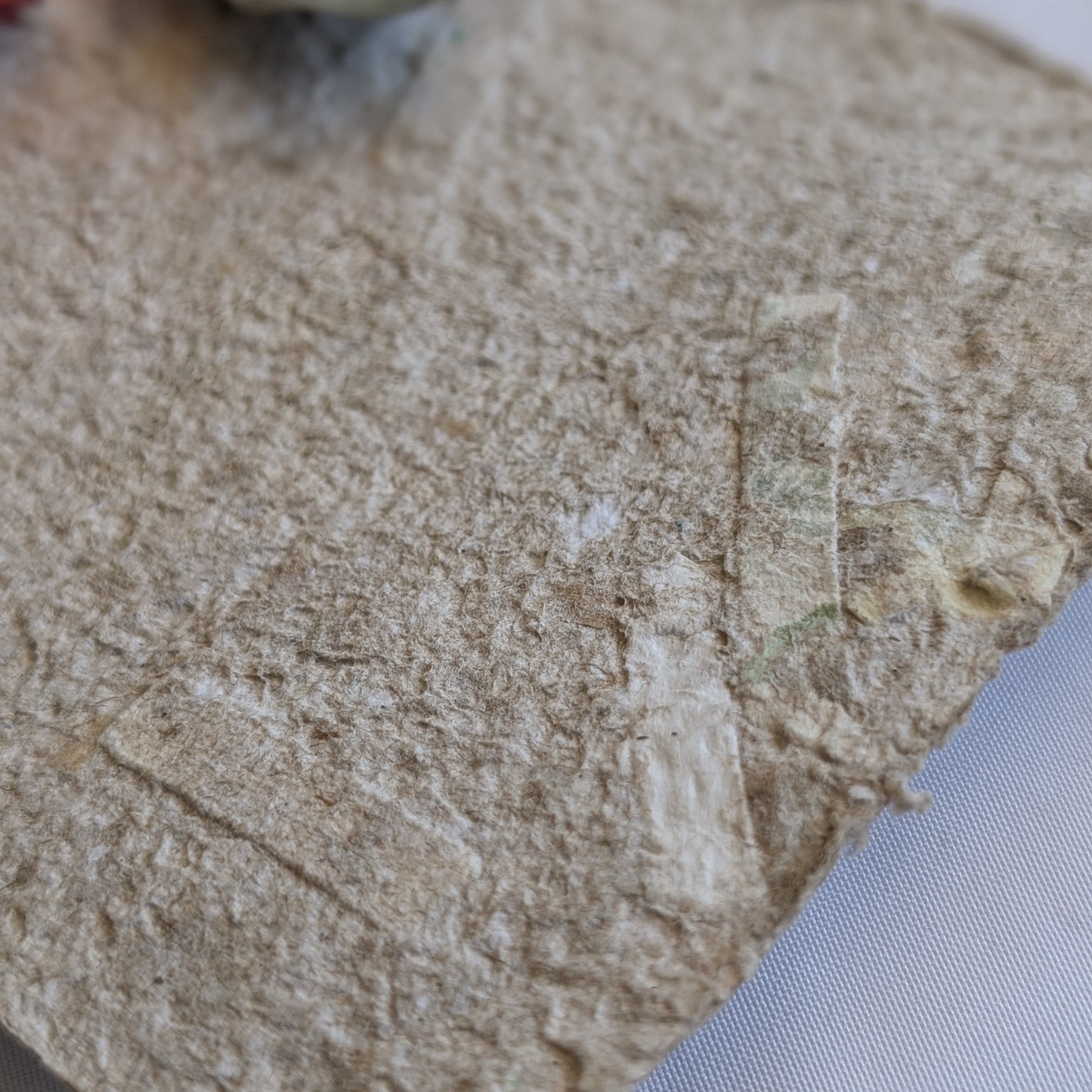 Handmade Recycled Paper Thank You Cards – Set of 5 | Engraved Botanical Keepsake Cards