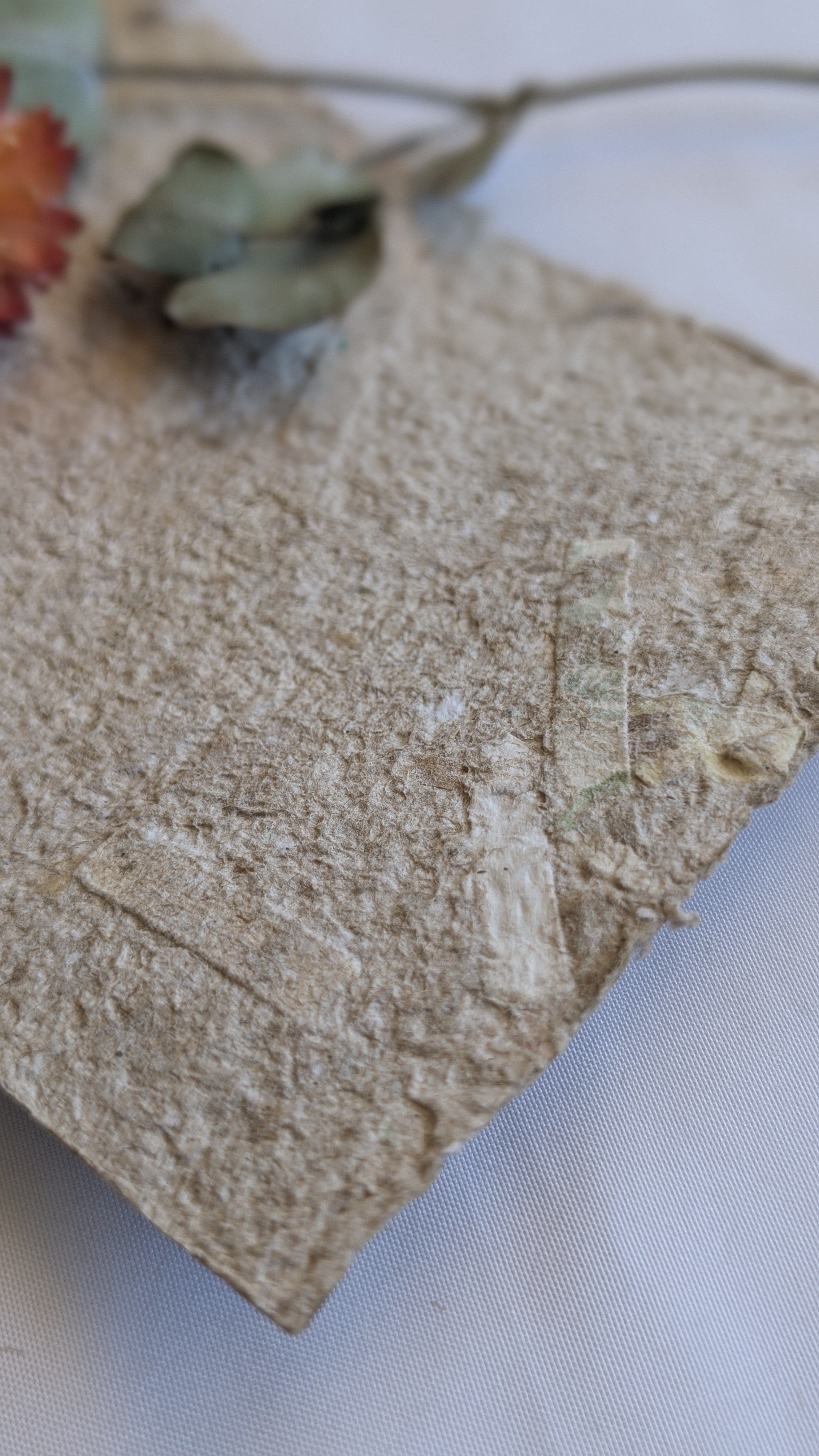 Handmade Recycled Paper Thank You Cards – Set of 5 | Engraved Botanical Keepsake Cards