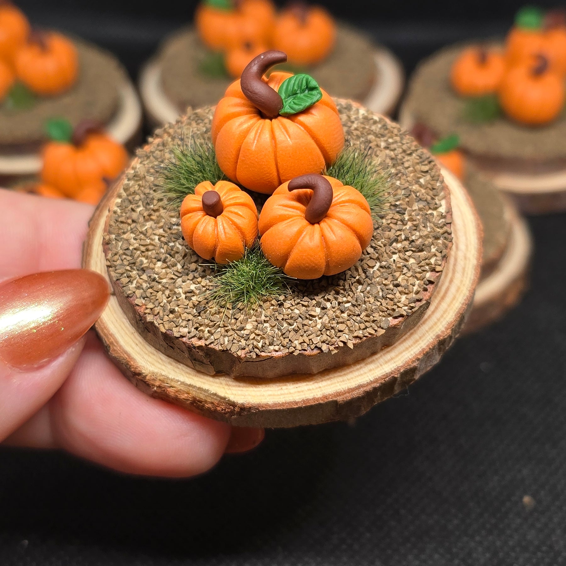 Pumpkin Patch 🎃