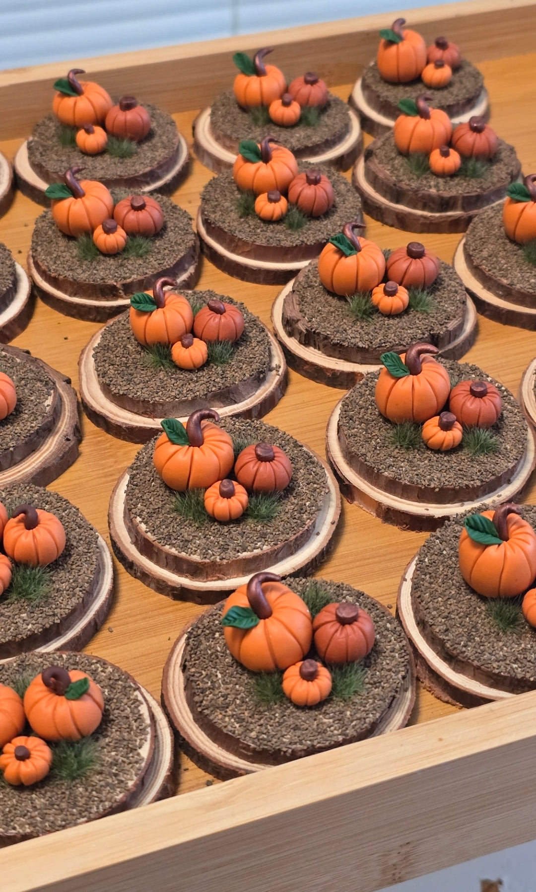 Pumpkin Patch 🎃