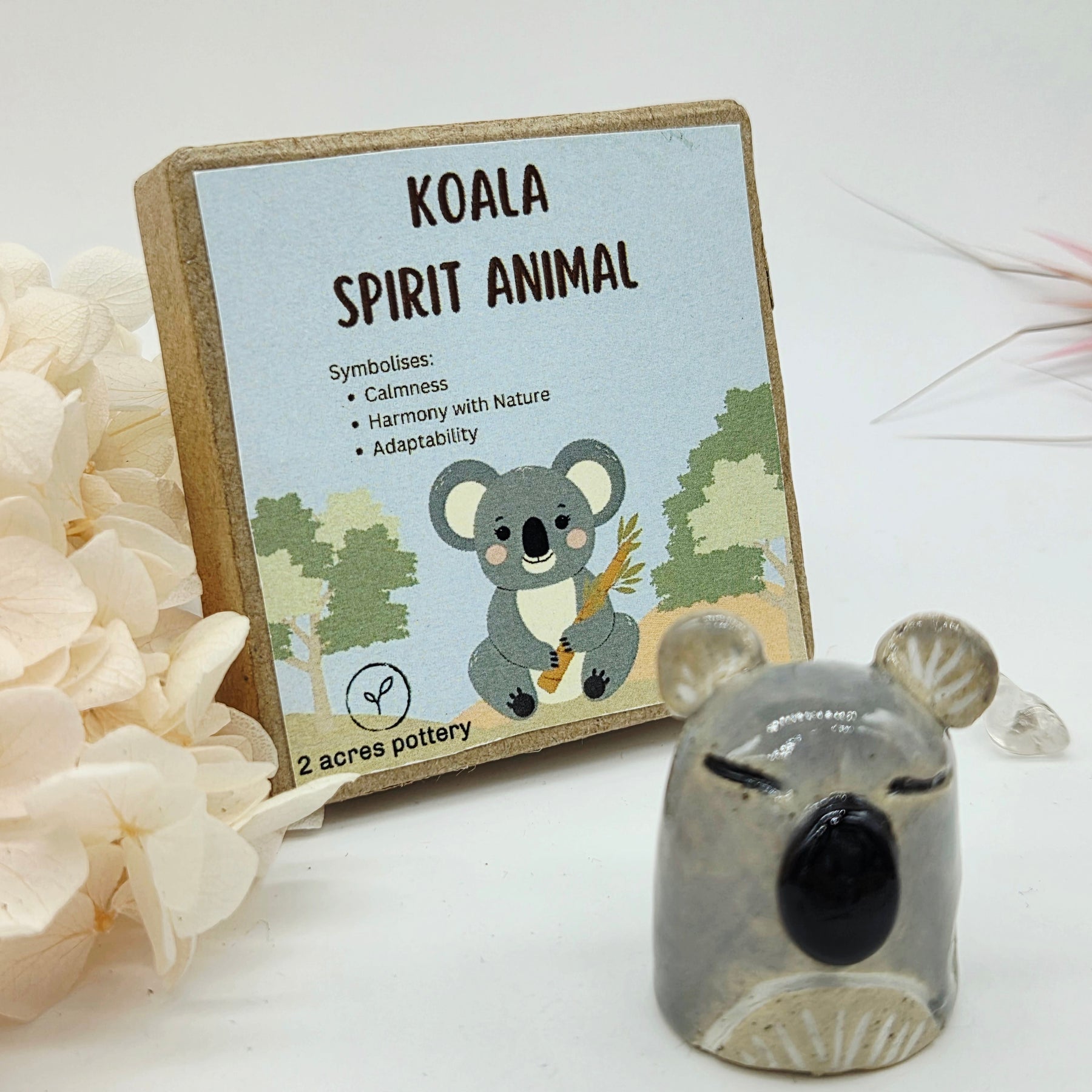 Spirit Animal - Koala