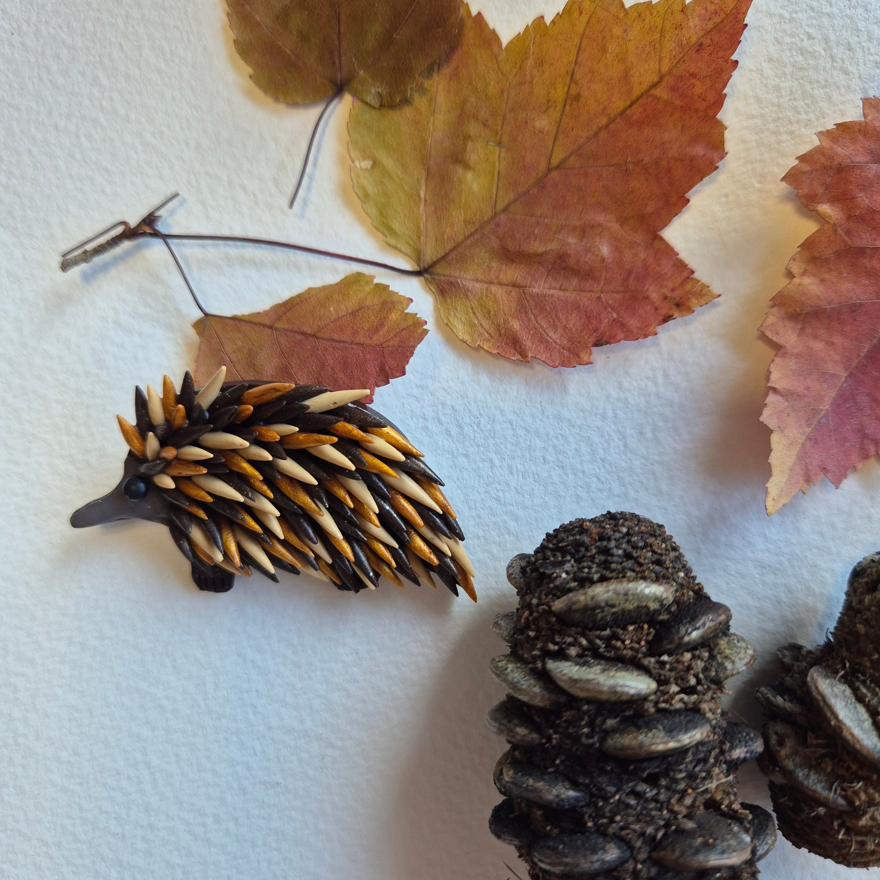 Australiana Brooches (kookaburra, magpie, echidna, swift parrot)