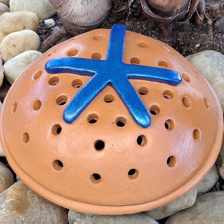 Mosquito Coil Holder/ Mozzie coil holder, Blue Starfish
