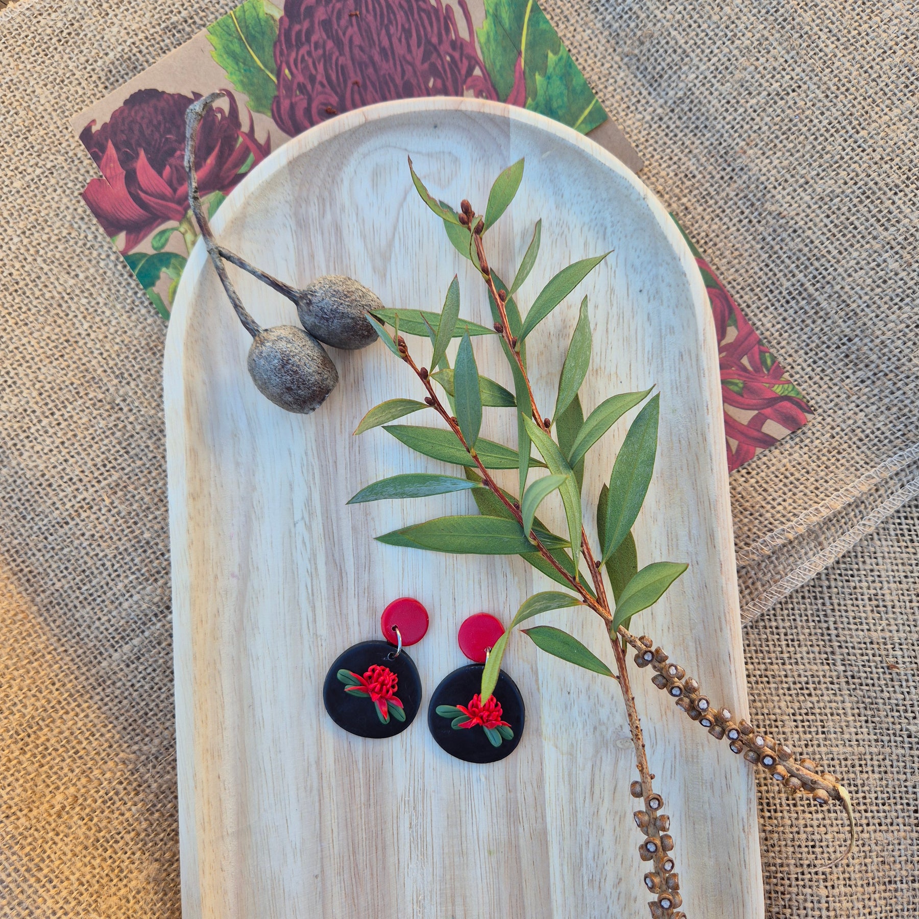 Waratah Dangle Earrings (choose from white or red)