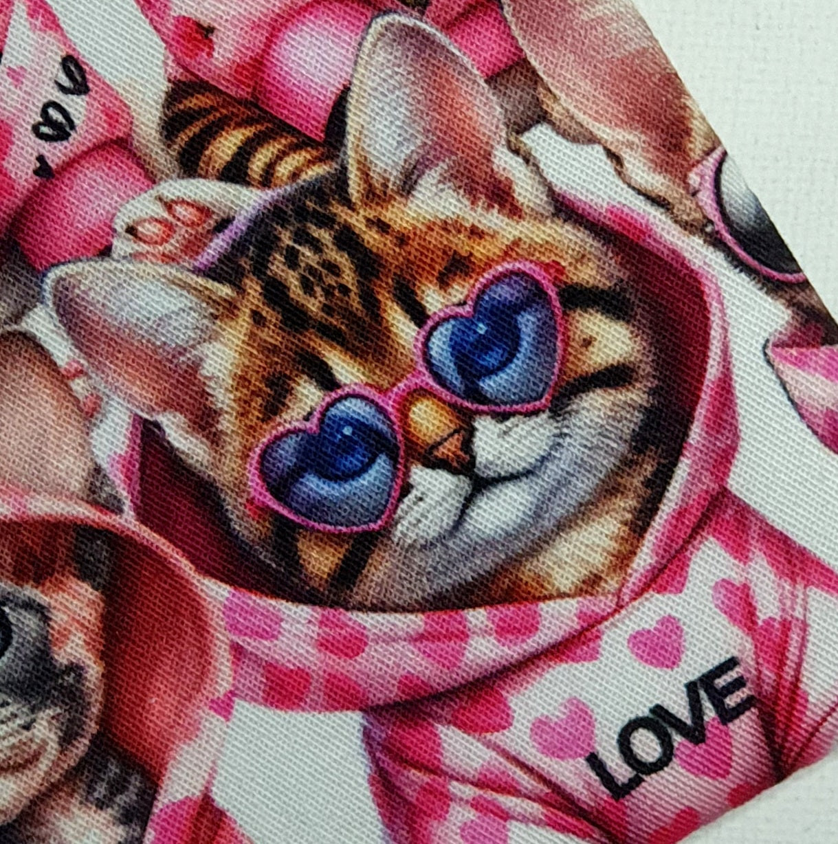 Sunglasses Pouch in Cute Cats In Onesies Design