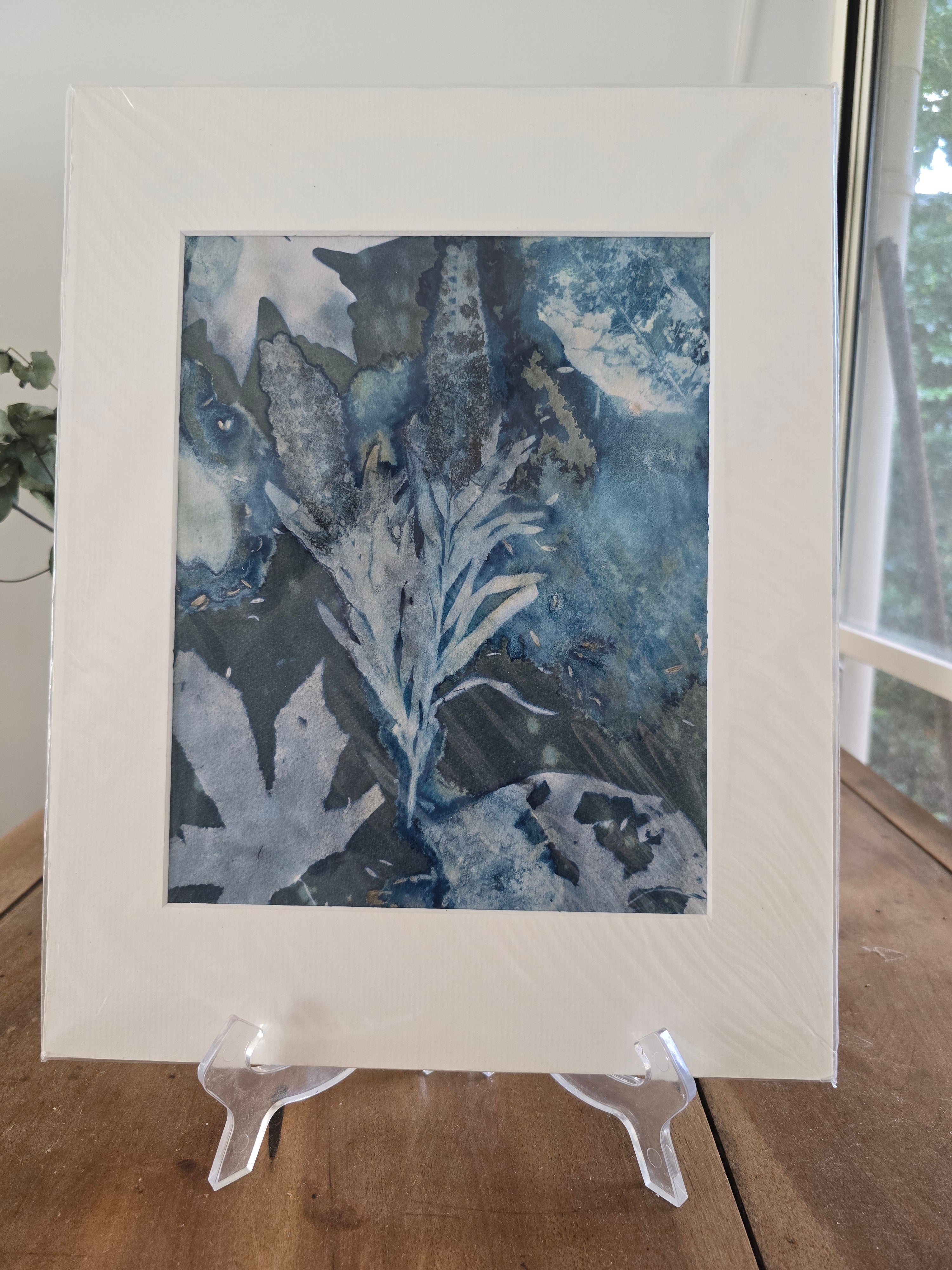 Original  Cyanotype Art