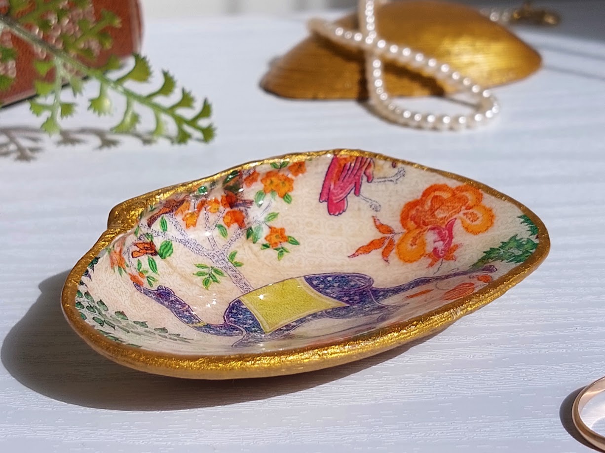Real pipi shell little ring dish, exotic camel