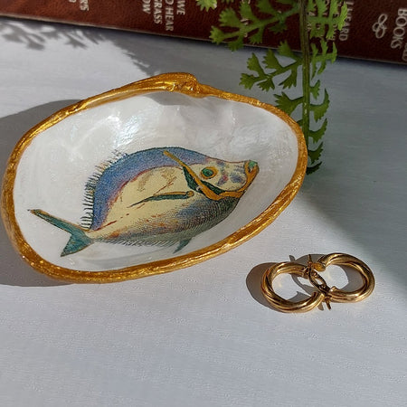 Real pipi shell little ring dish, sparkly fish