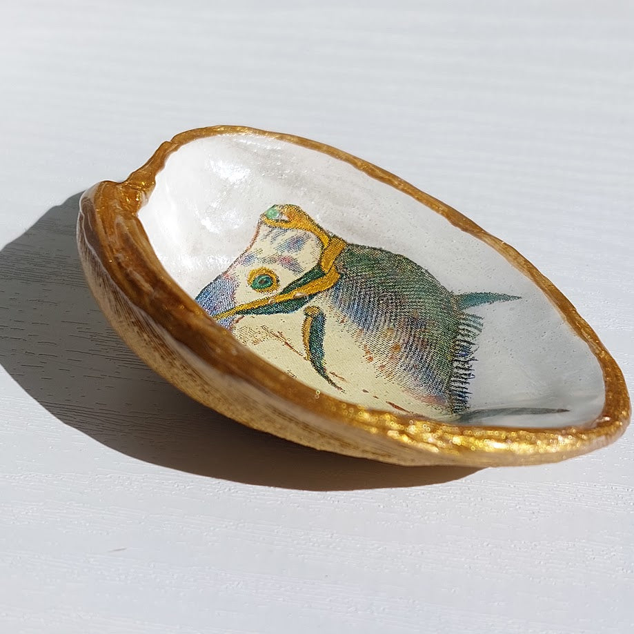 Real pipi shell little ring dish, sparkly fish