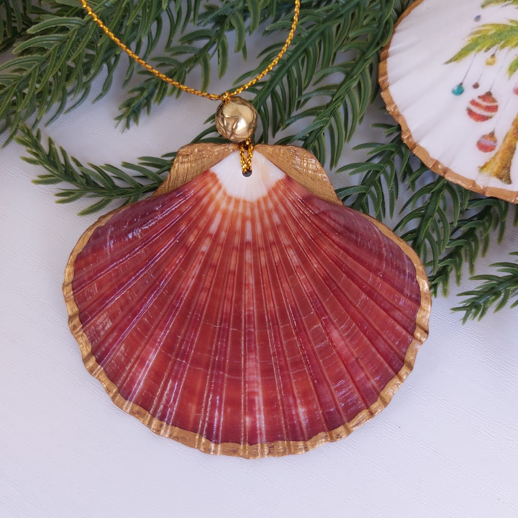 Real shell hanging Christmas ornament - Australian beach Christmas decoration