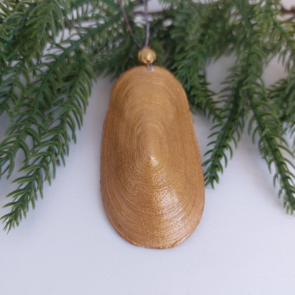 Real shell - hanging Christmas ornament - nutcracker Christmas decoration