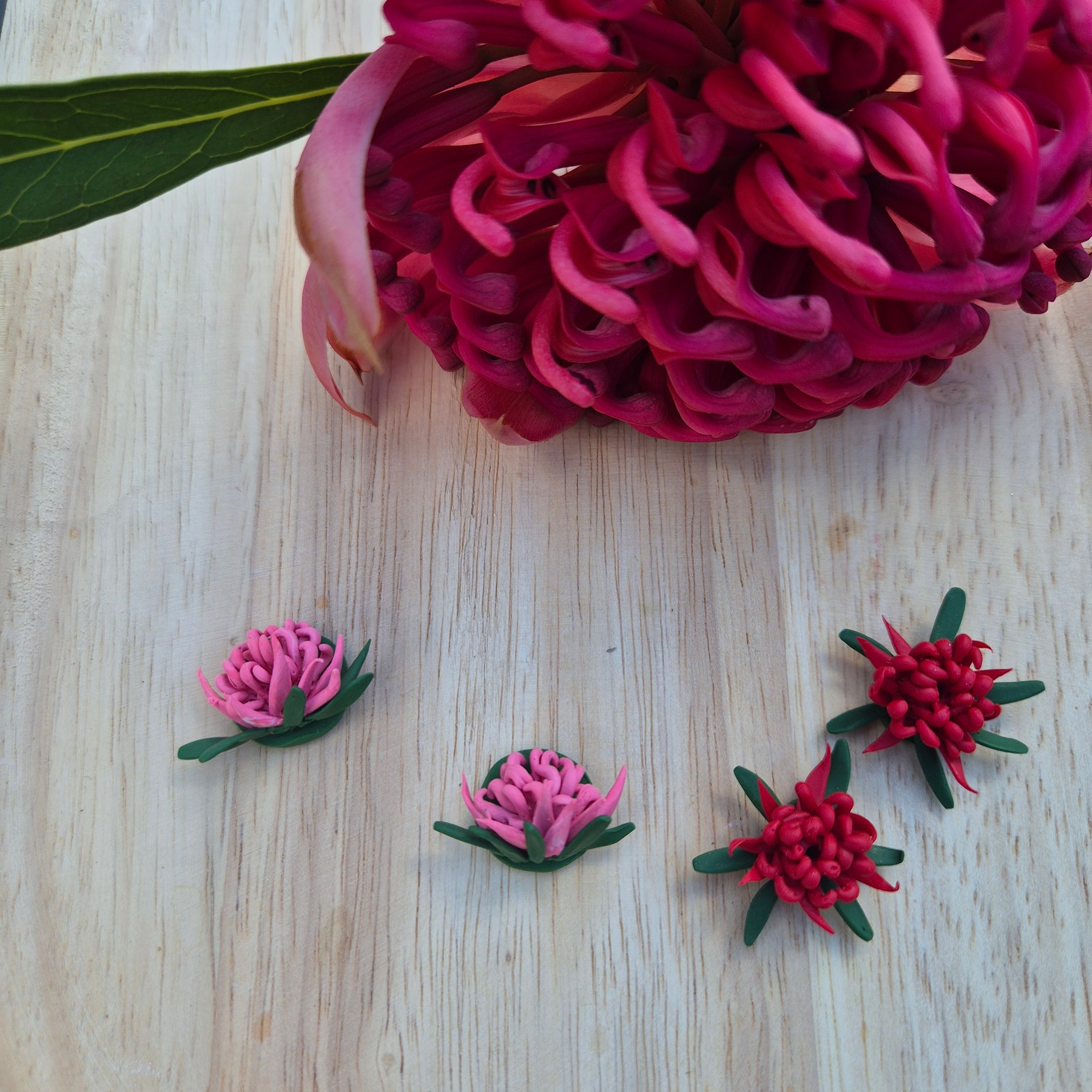 Waratah Earrings (choose from 4)