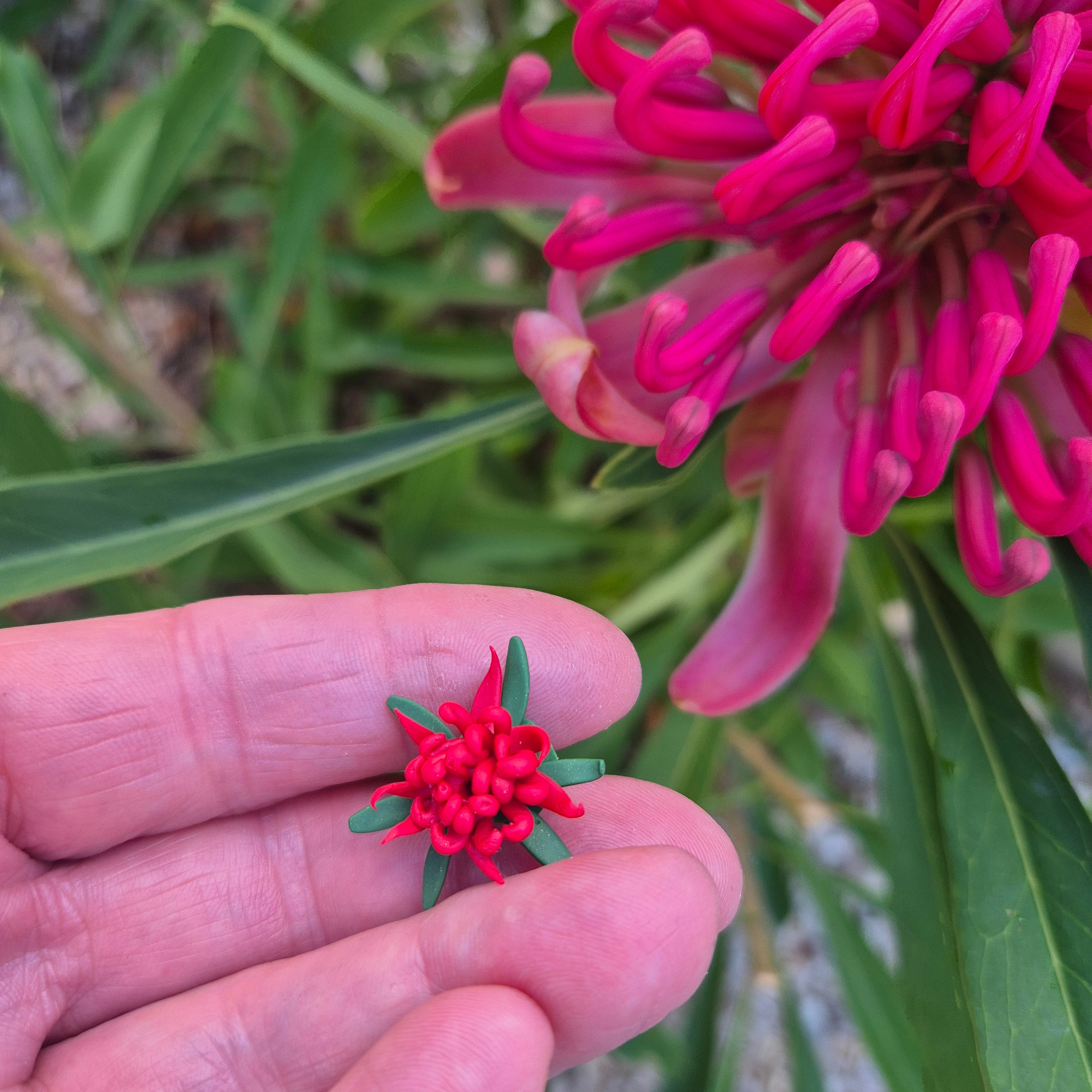 Waratah Earrings (choose from 4)