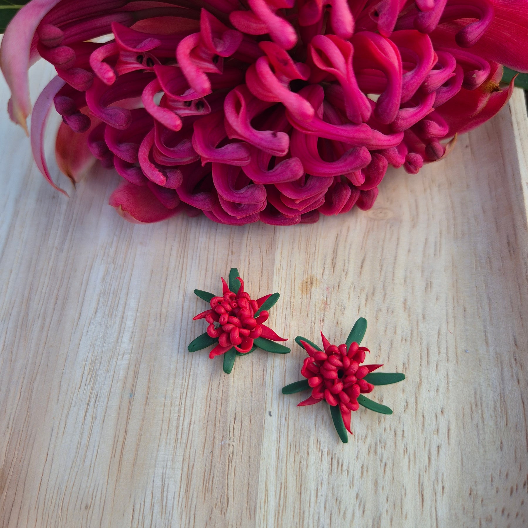 Waratah Earrings (choose from 4)