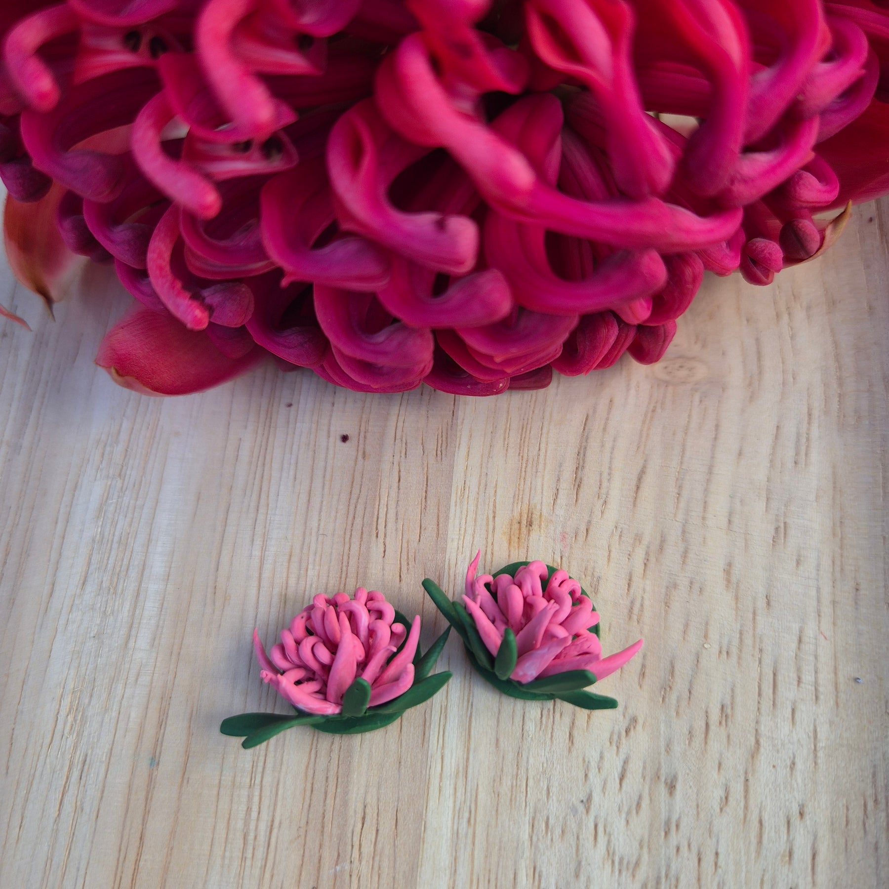 Waratah Earrings (choose from 3)