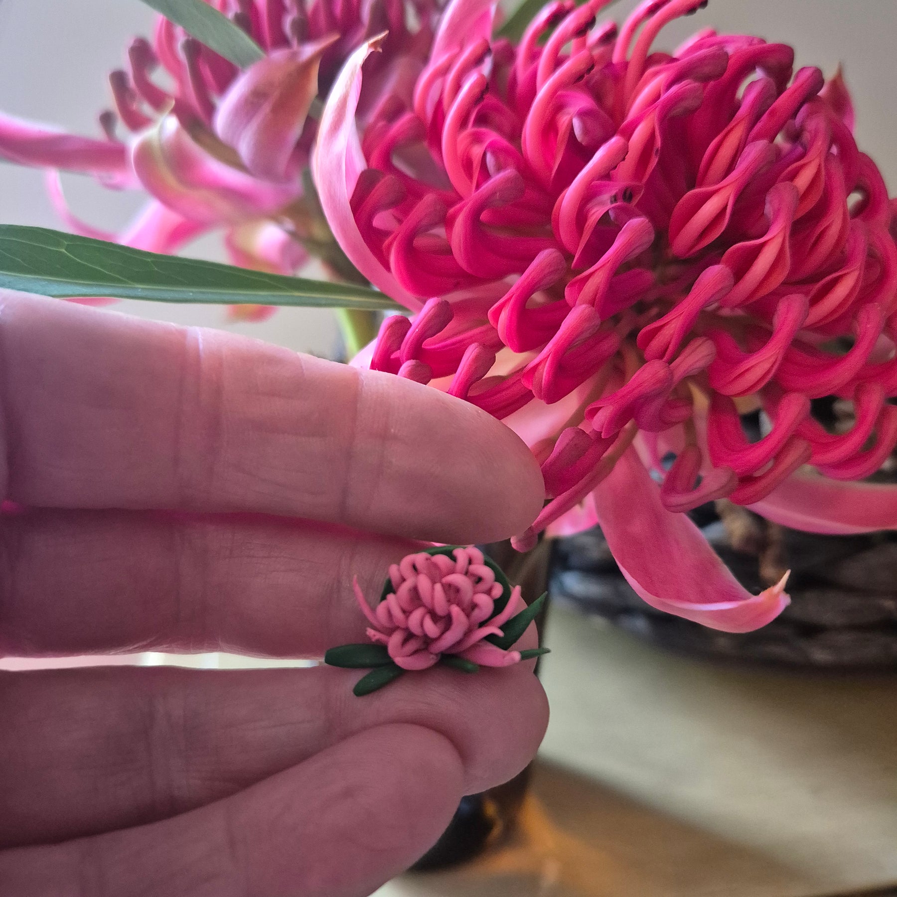 Waratah Earrings (choose from 3)