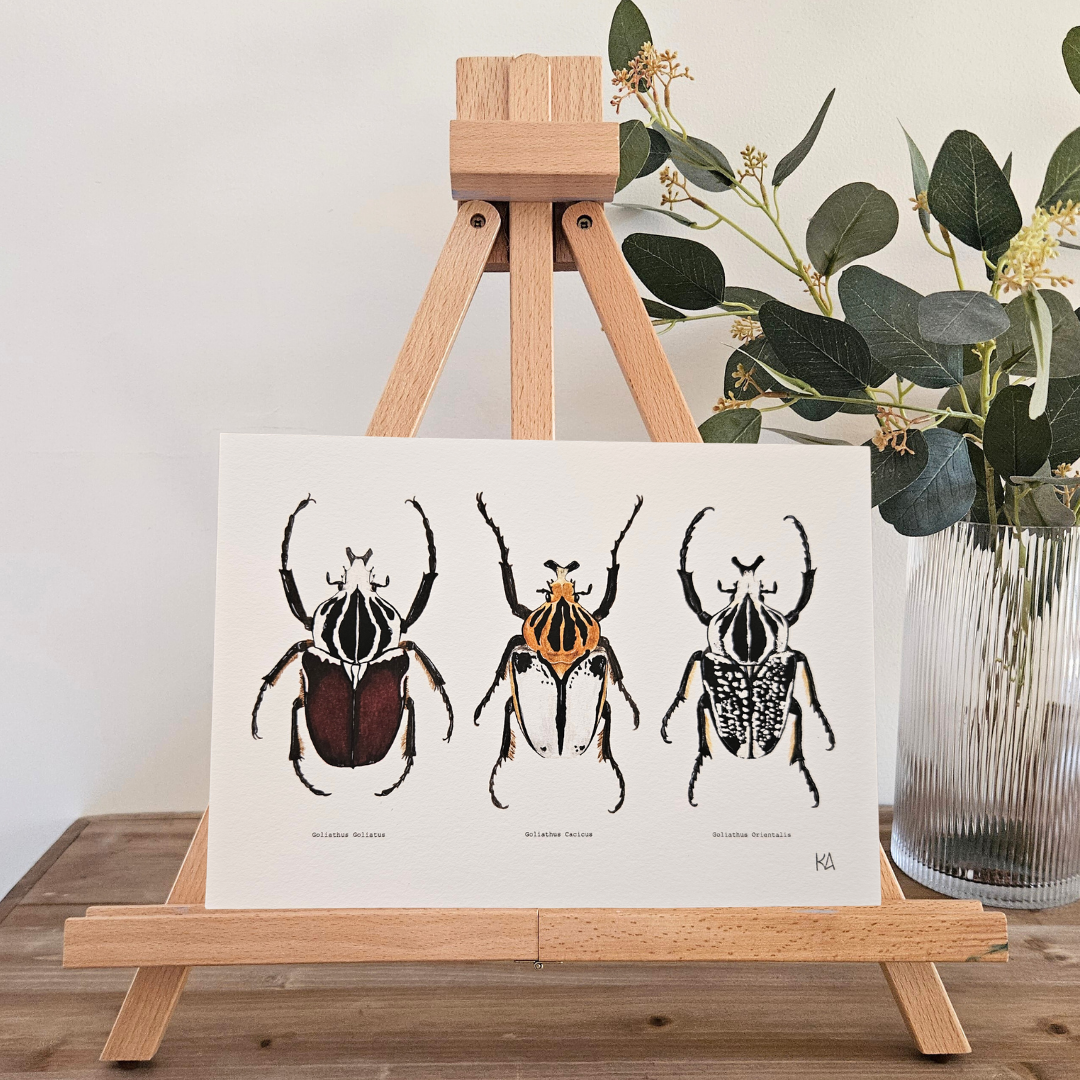 Watercolour Art Print - 'Goliath Beetle Trio'