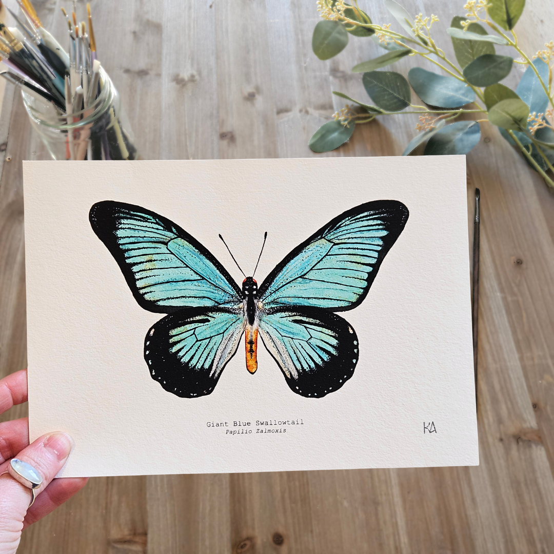 Watercolour Art Print - 'Giant Blue Swallowtail Butterfly'