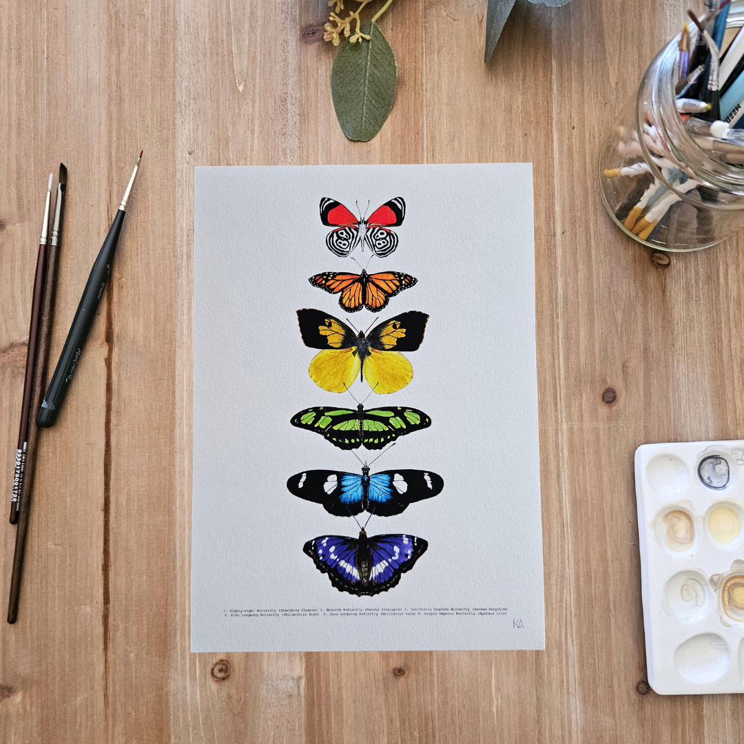 Watercolour Art Print - 'Rainbow Butterfly Collage'