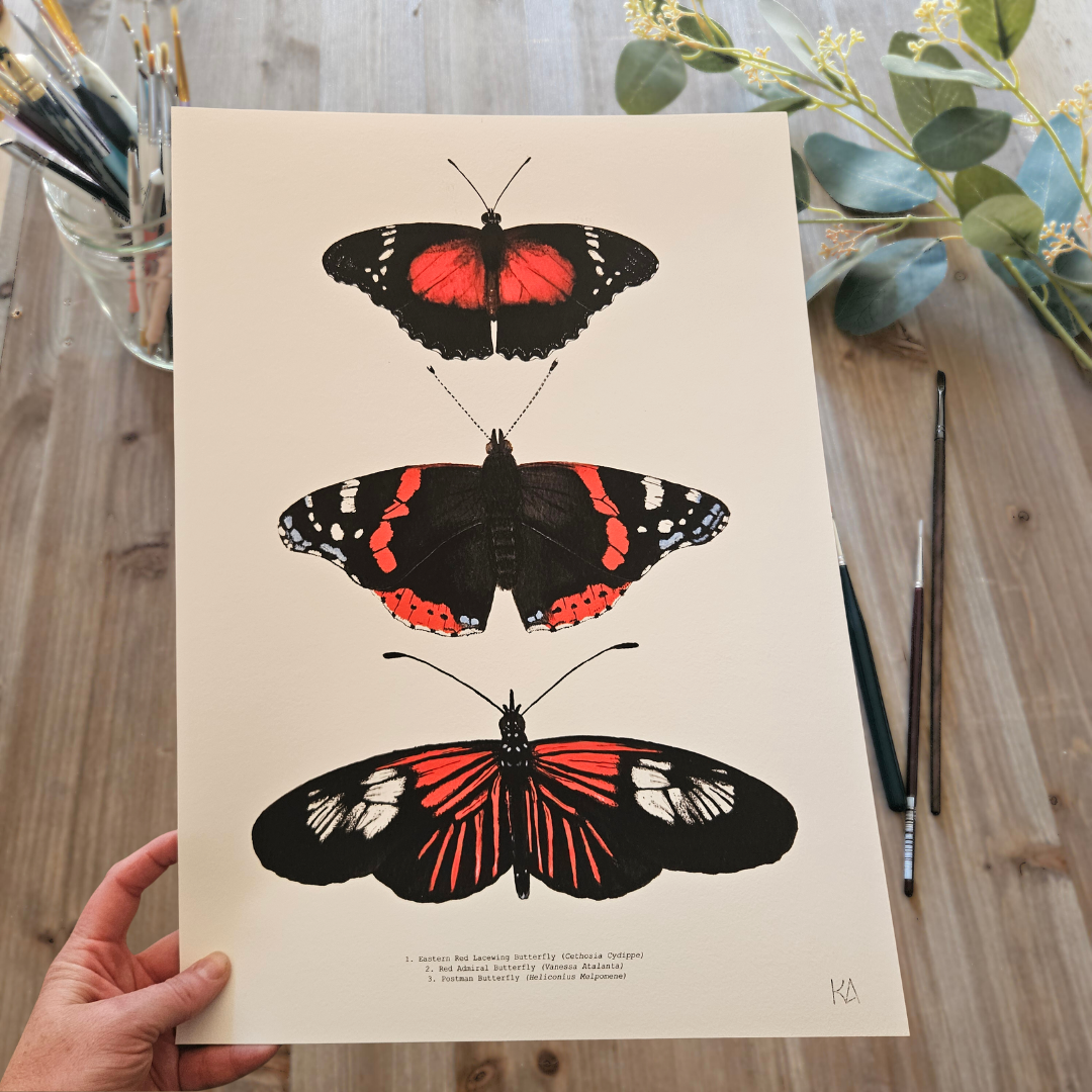 Watercolour Art Print - 'Red Butterfly Trio'