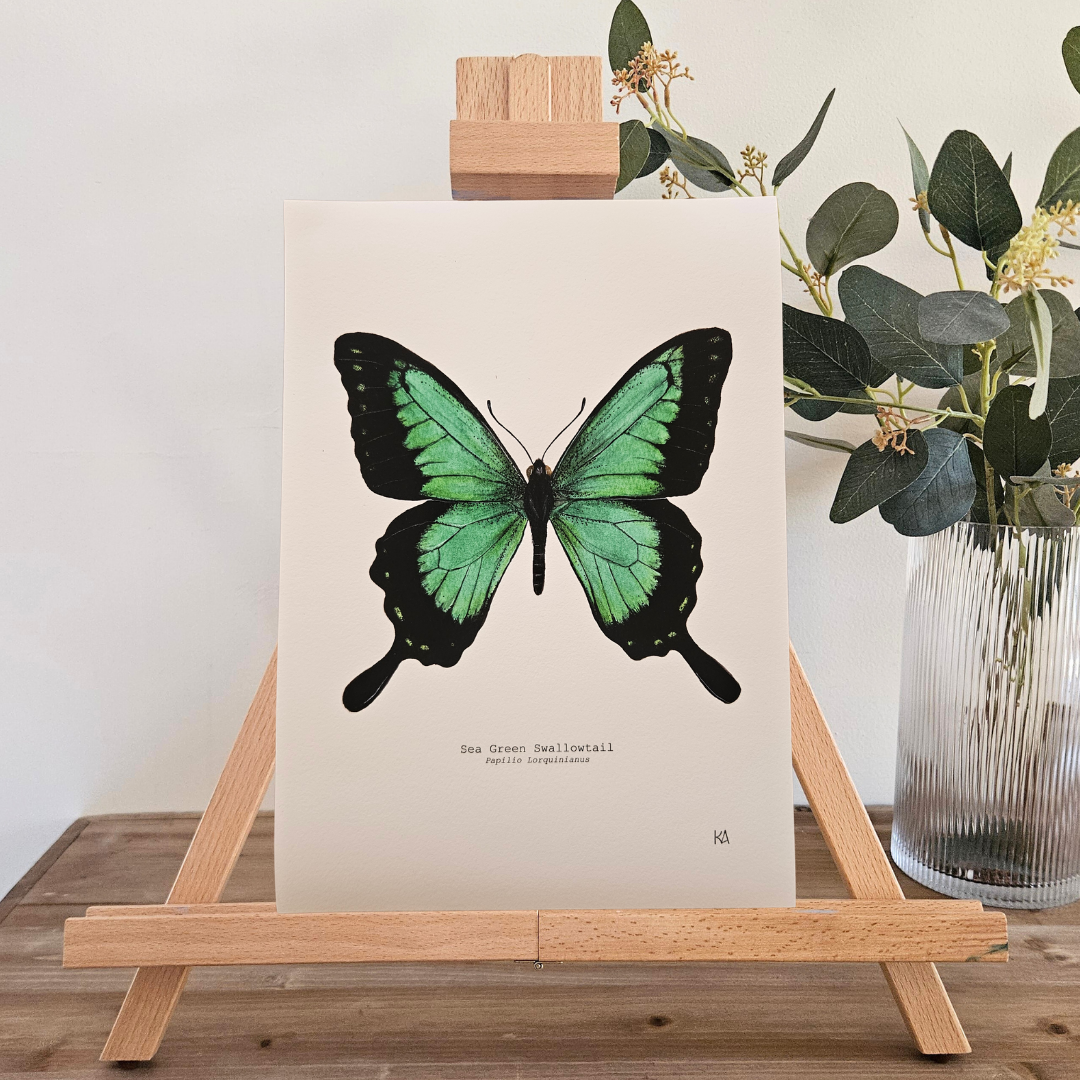 Watercolour Art Print - 'Sea Green Swallowtail Butterfly'