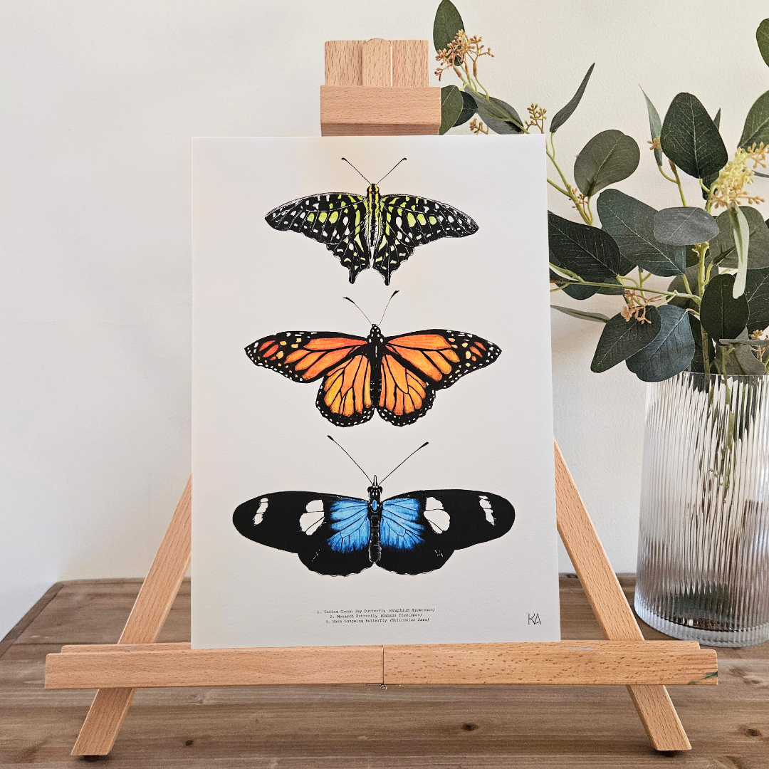 Watercolour Art Print - 'Butterfly Trio'
