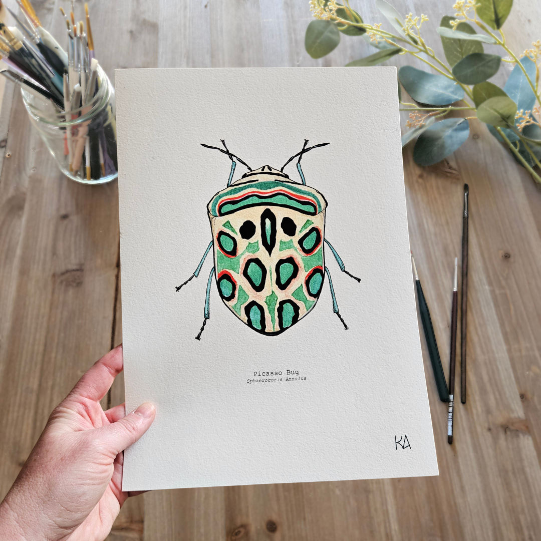 Watercolour Art Print - 'Picasso Bug'