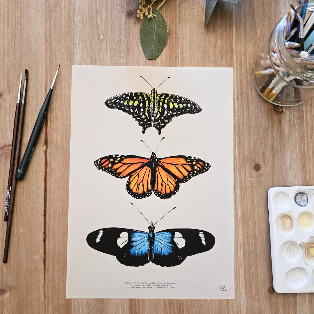 Watercolour Art Print - 'Butterfly Trio'
