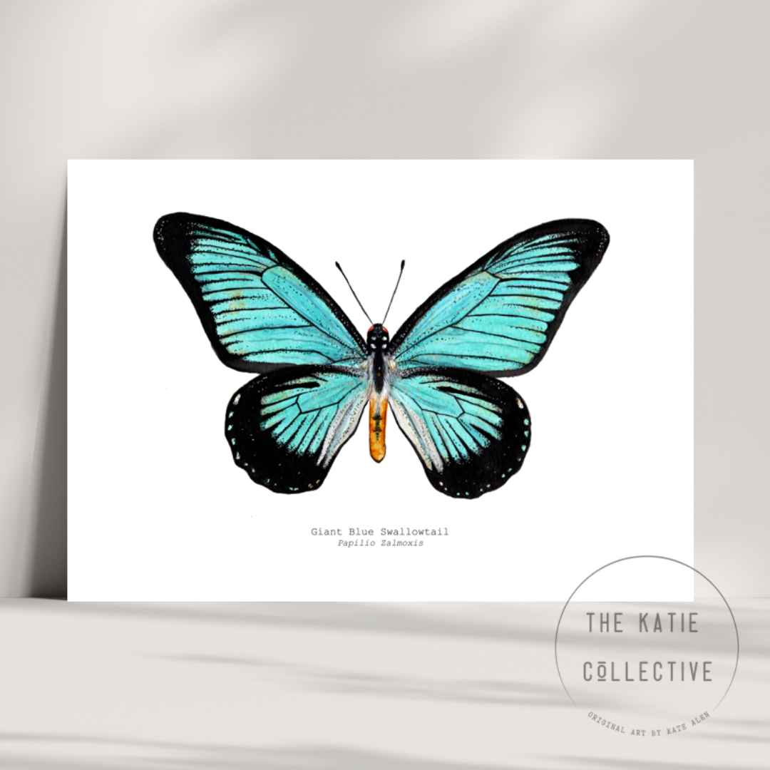 Watercolour Art Print - 'Giant Blue Swallowtail Butterfly'