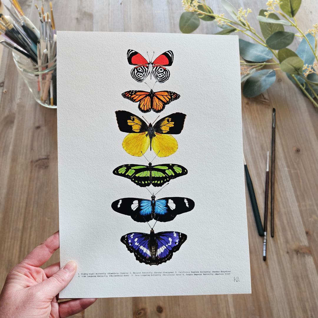 Watercolour Art Print - 'Rainbow Butterfly Collage'