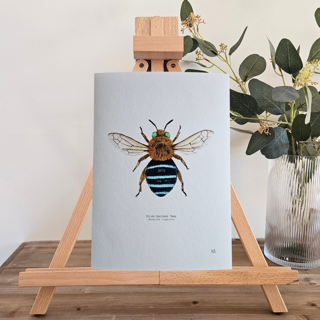 Watercolour Art Print - 'Blue-Banded Bee'