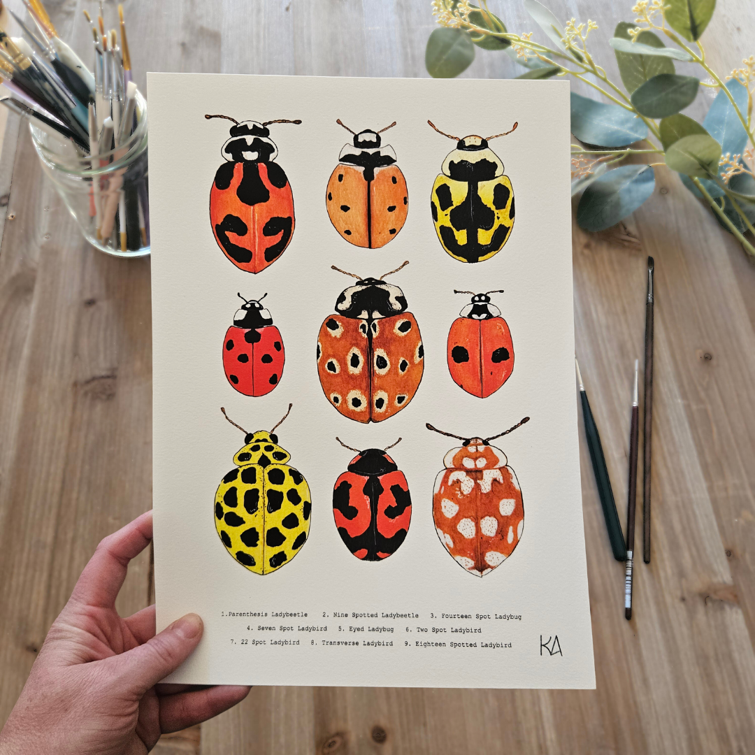 Watercolour Art Print - 'Ladybug Collage'