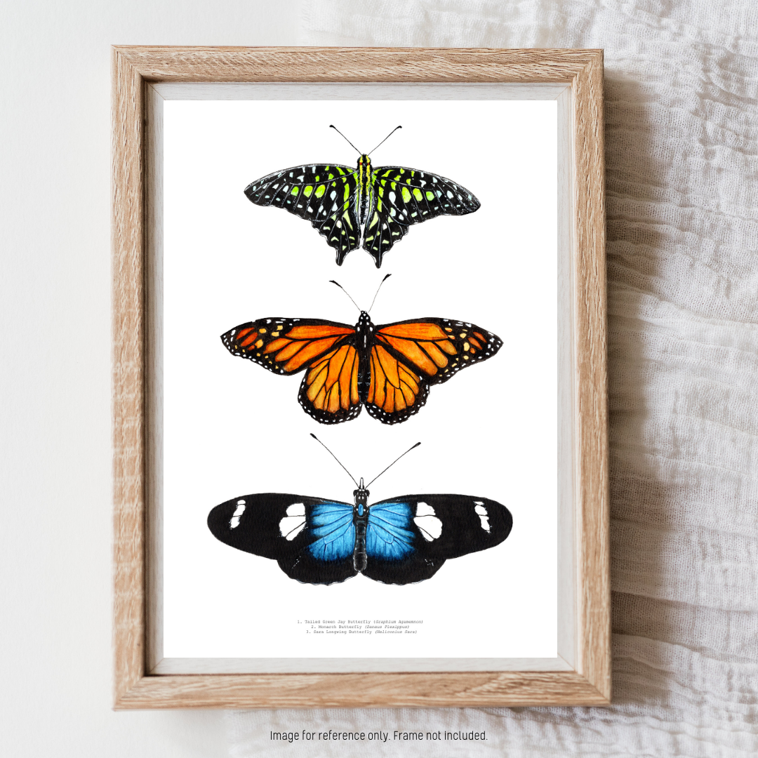 Watercolour Art Print - 'Butterfly Trio'