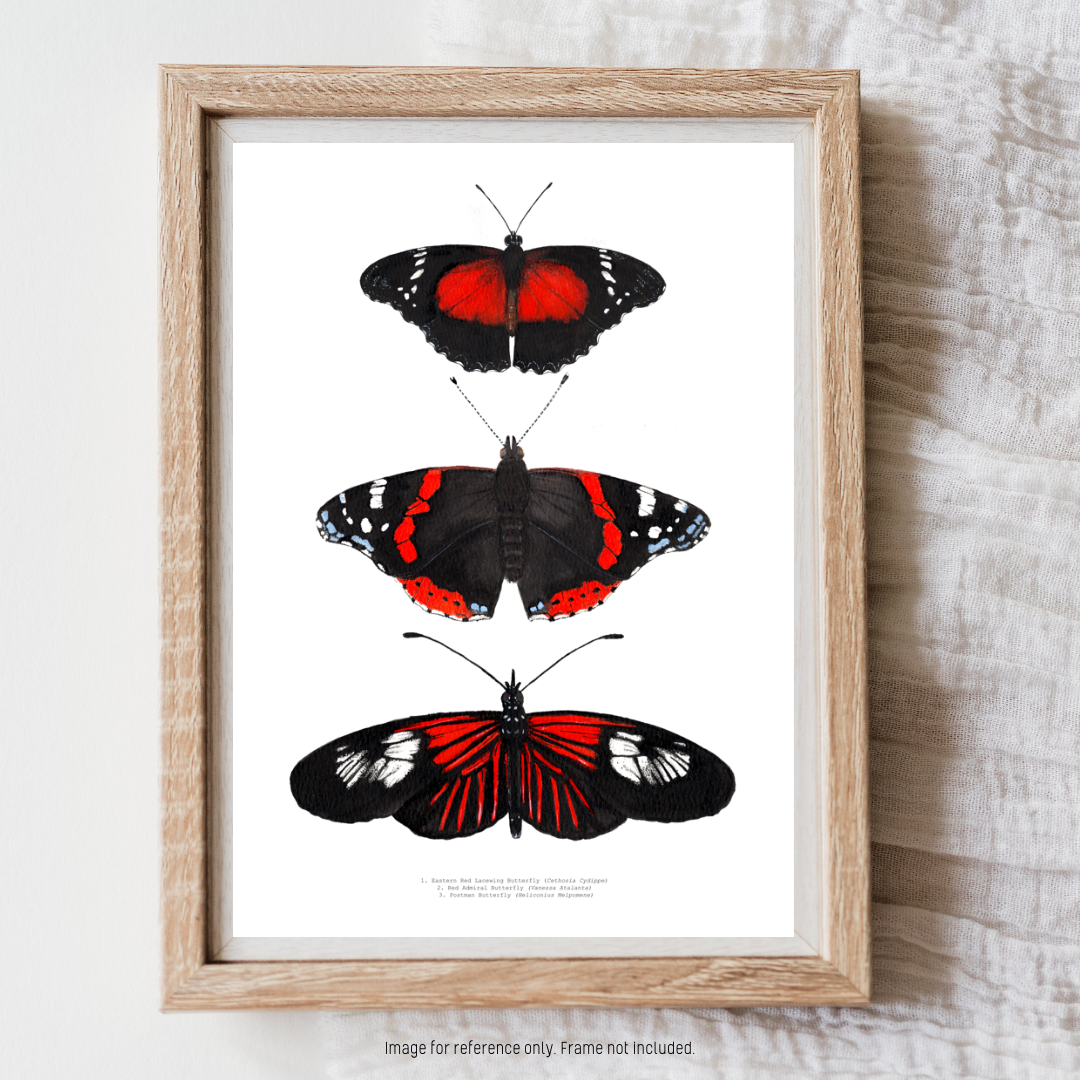 Watercolour Art Print - 'Red Butterfly Trio'