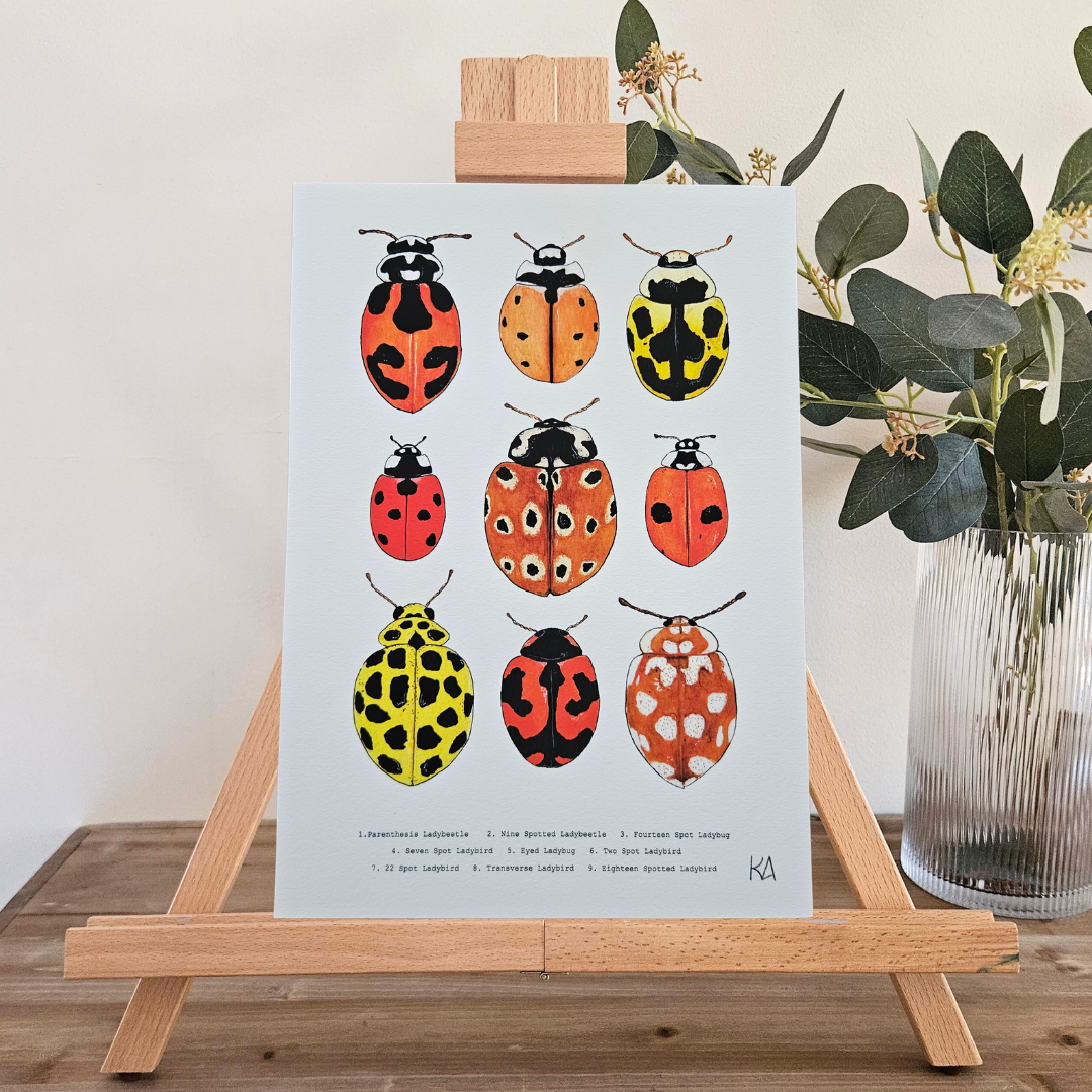 Watercolour Art Print - 'Ladybug Collage'