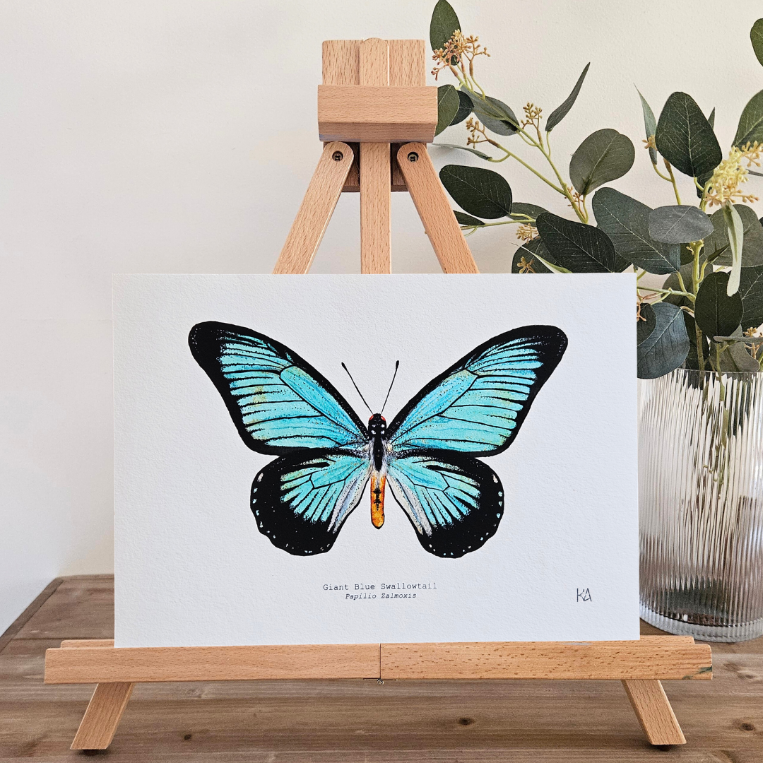 Watercolour Art Print - 'Giant Blue Swallowtail Butterfly'