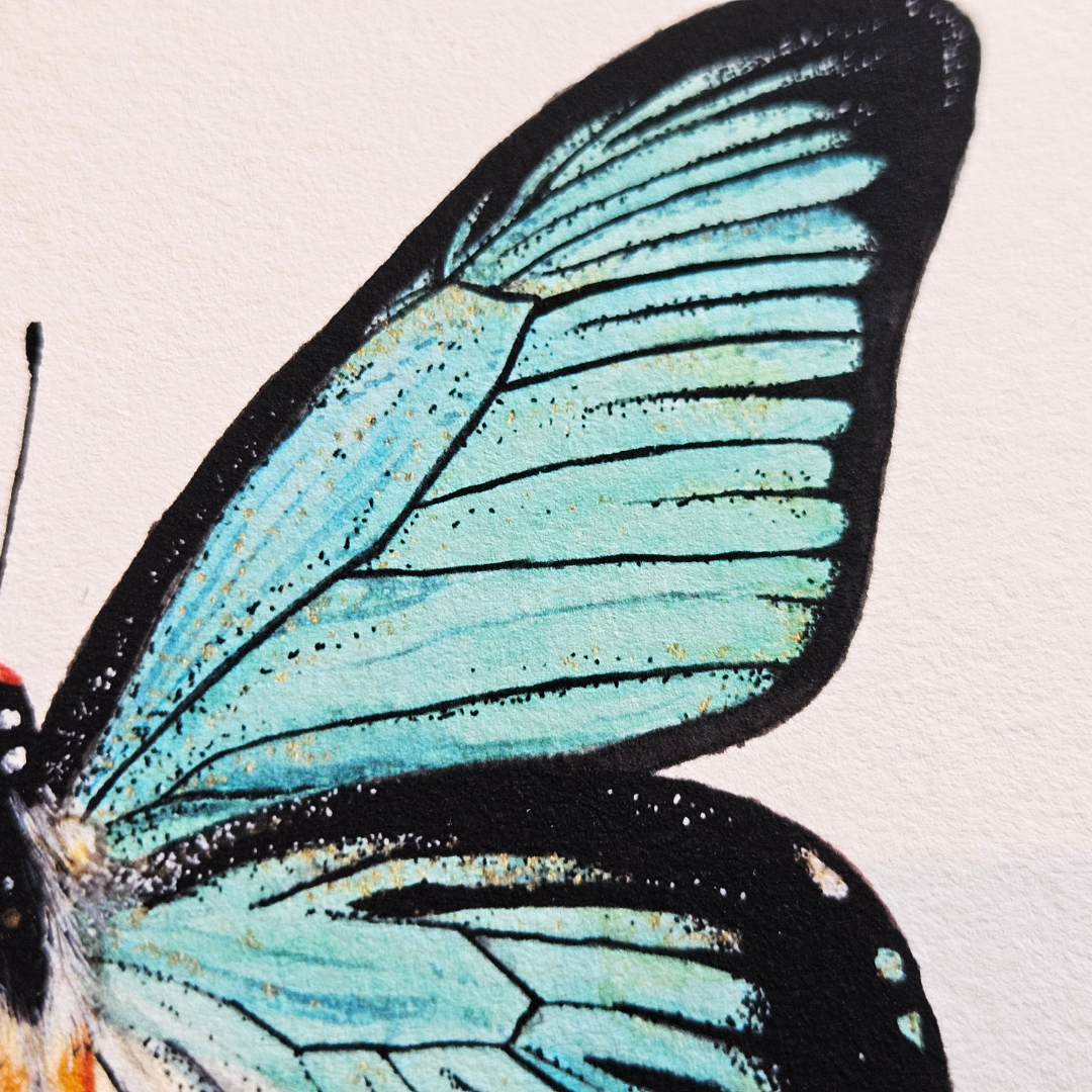 Watercolour Art Print - 'Giant Blue Swallowtail Butterfly'