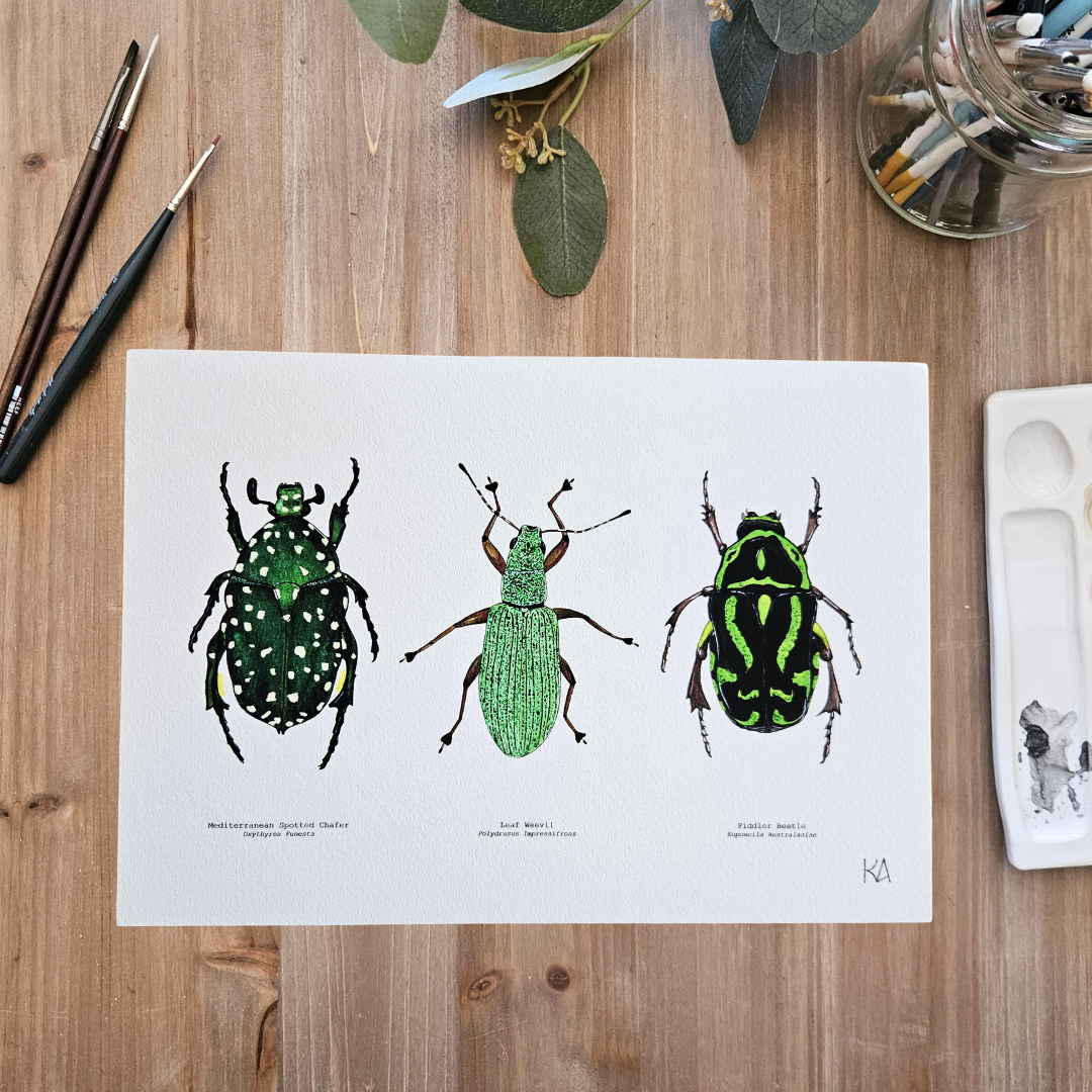 Watercolour Art Print - 'Green Bug Trio'