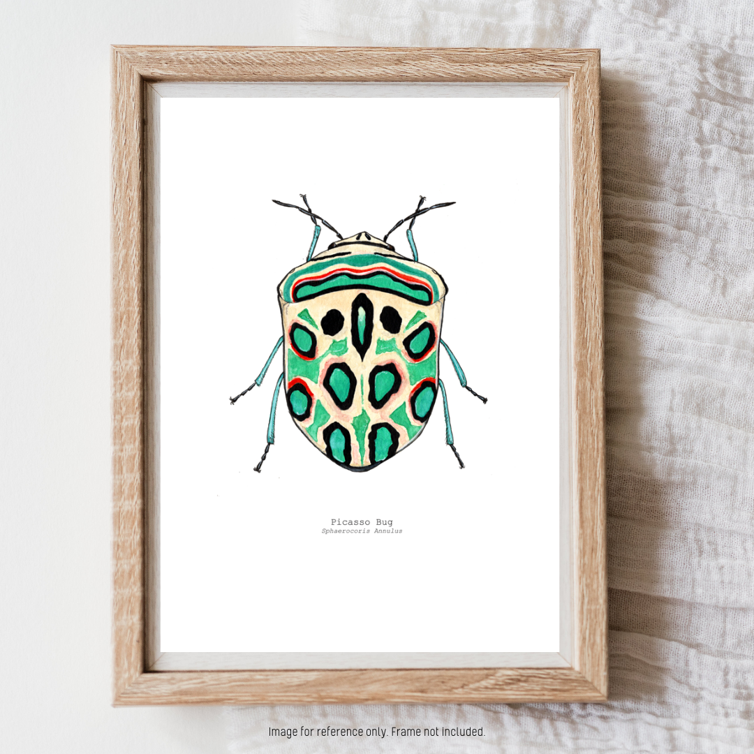Watercolour Art Print - 'Picasso Bug'